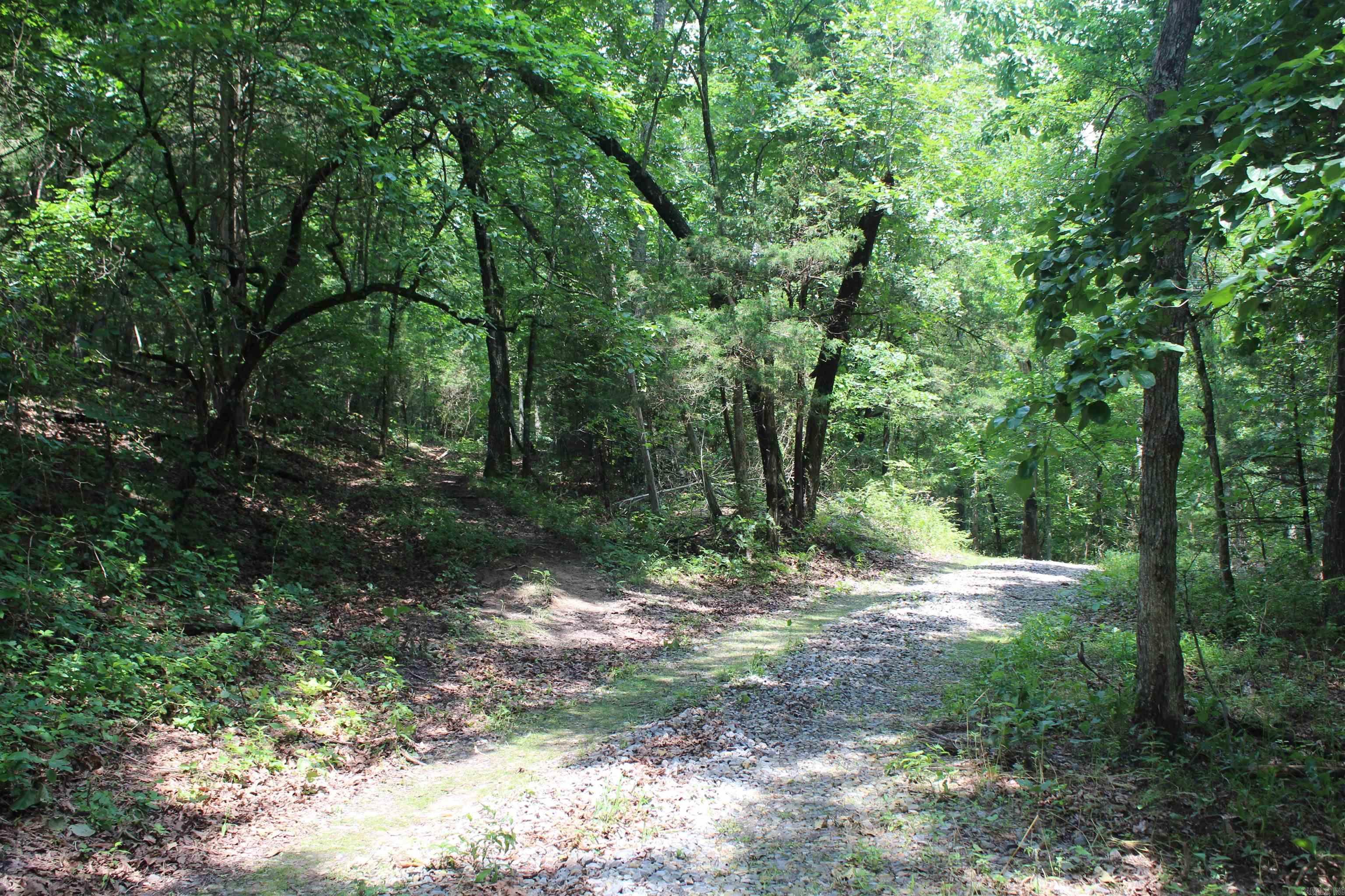 474 MC 4036  Yellville, AR