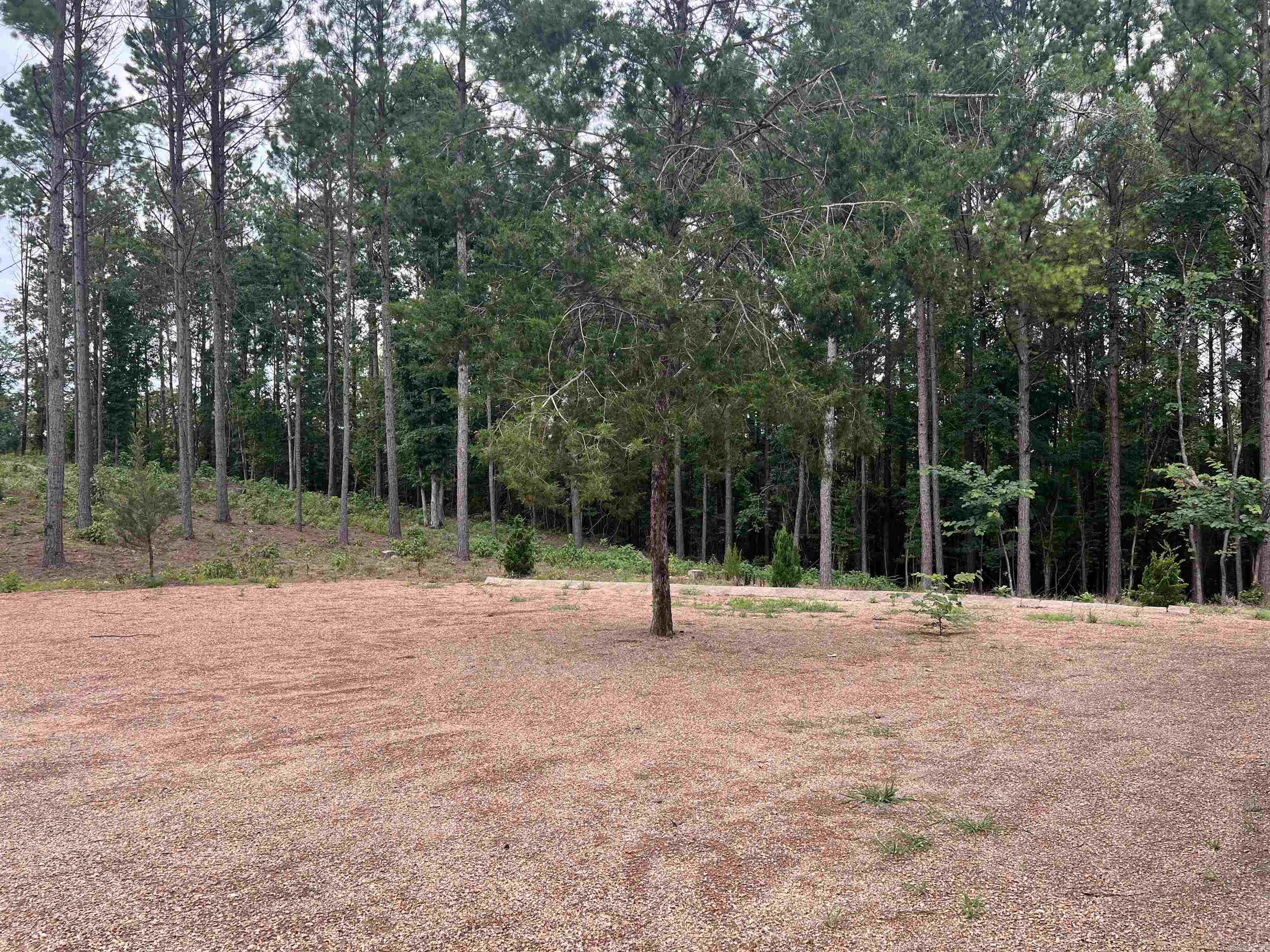 18 Castle road  Amity, AR