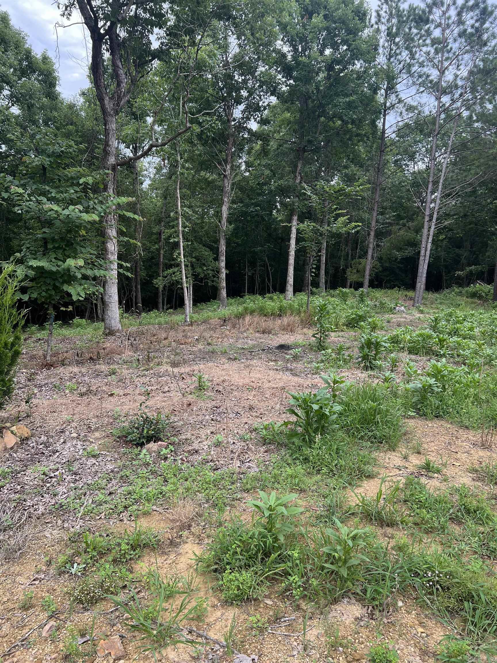 18 Castle road  Amity, AR