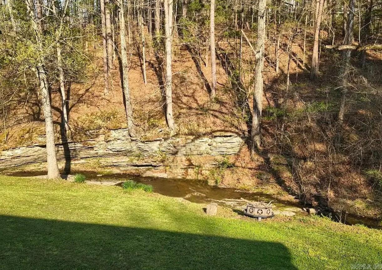 224 E Elm  Mount Ida, AR