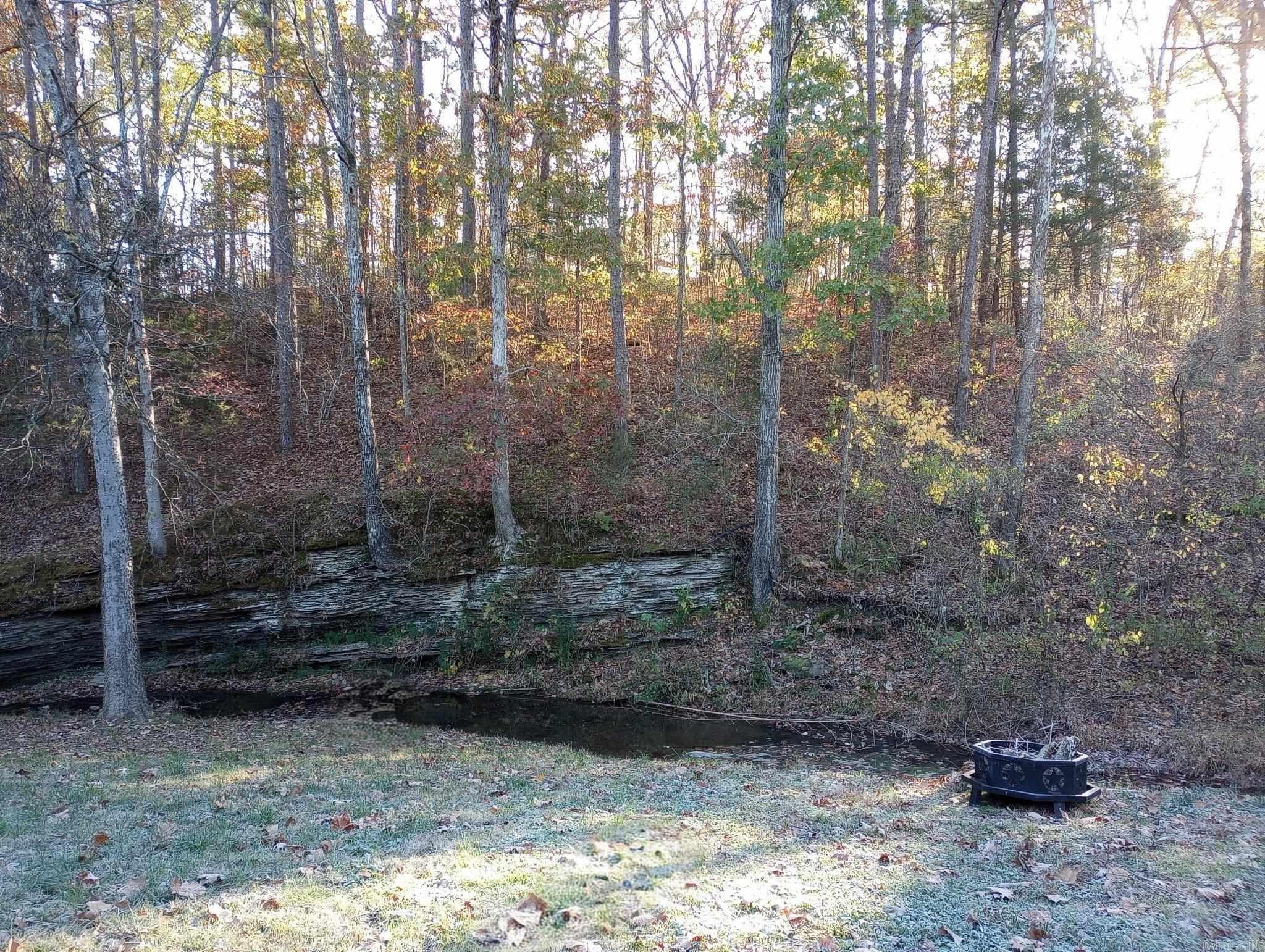 224 E Elm  Mount Ida, AR