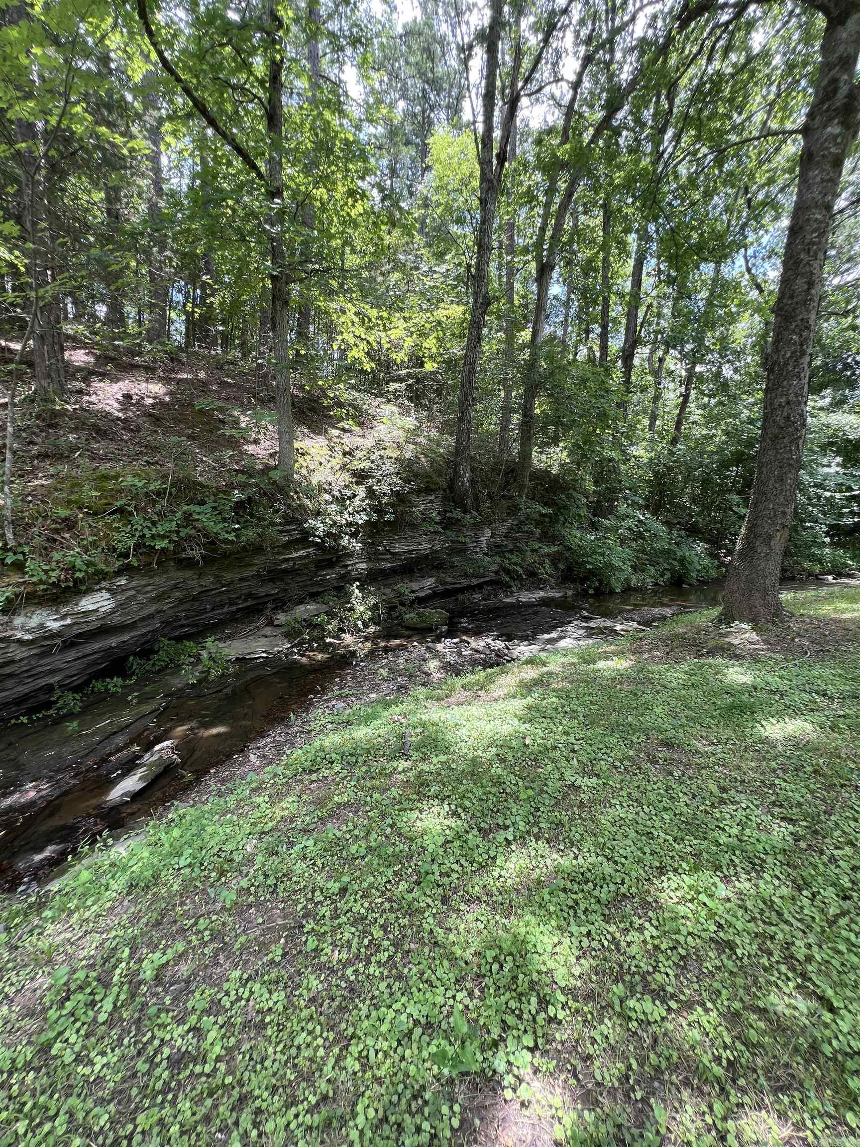 224 E Elm  Mount Ida, AR