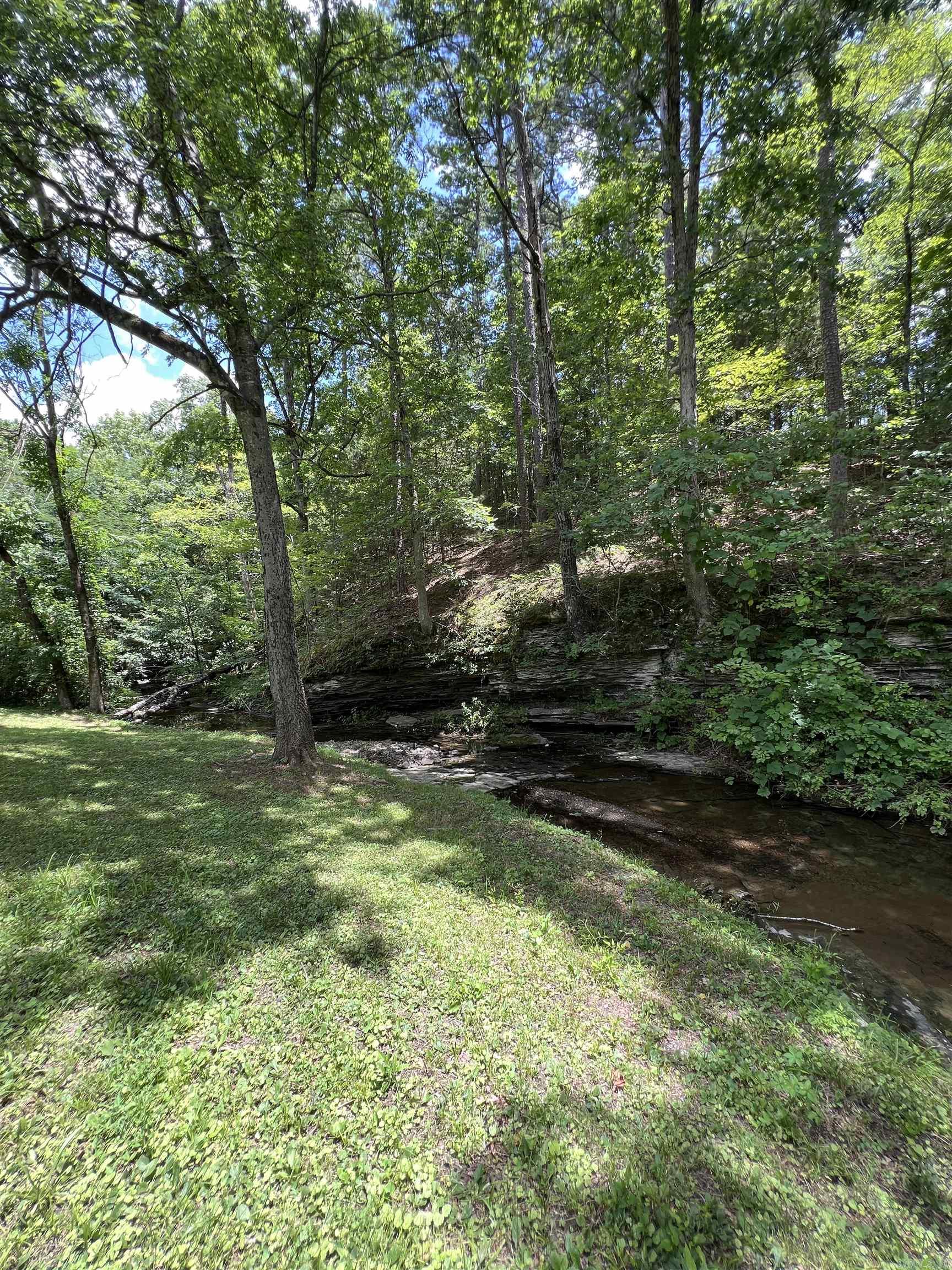 224 E Elm  Mount Ida, AR