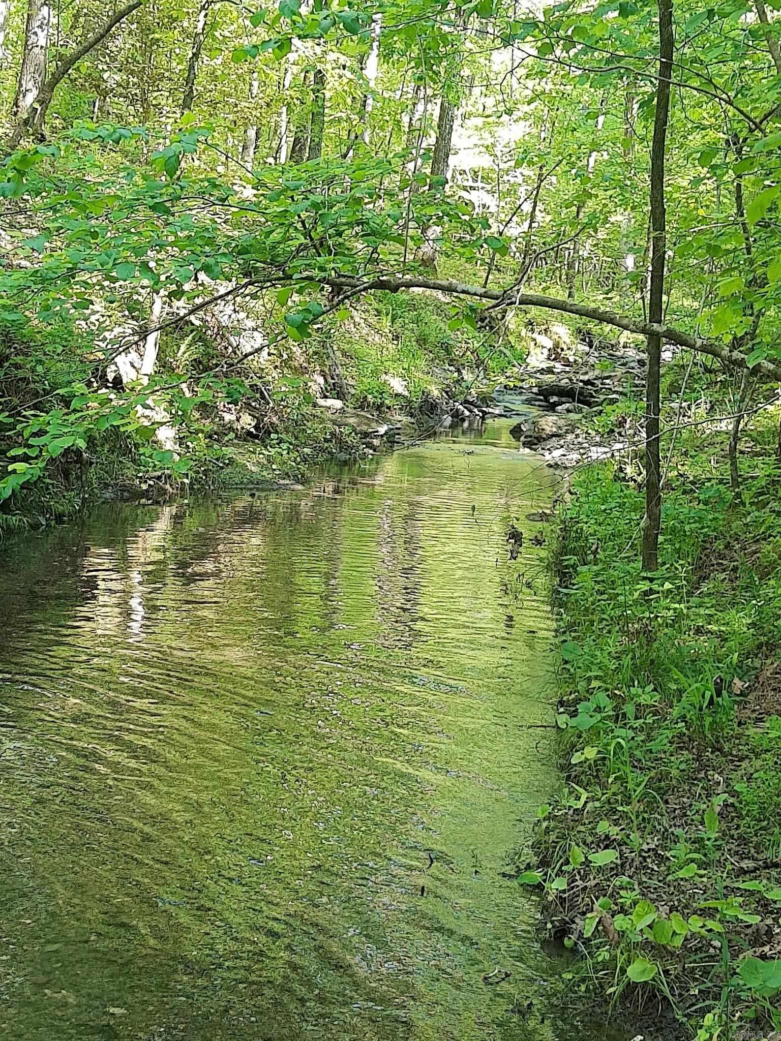 TBD Pleasant Point  Mount Ida, AR