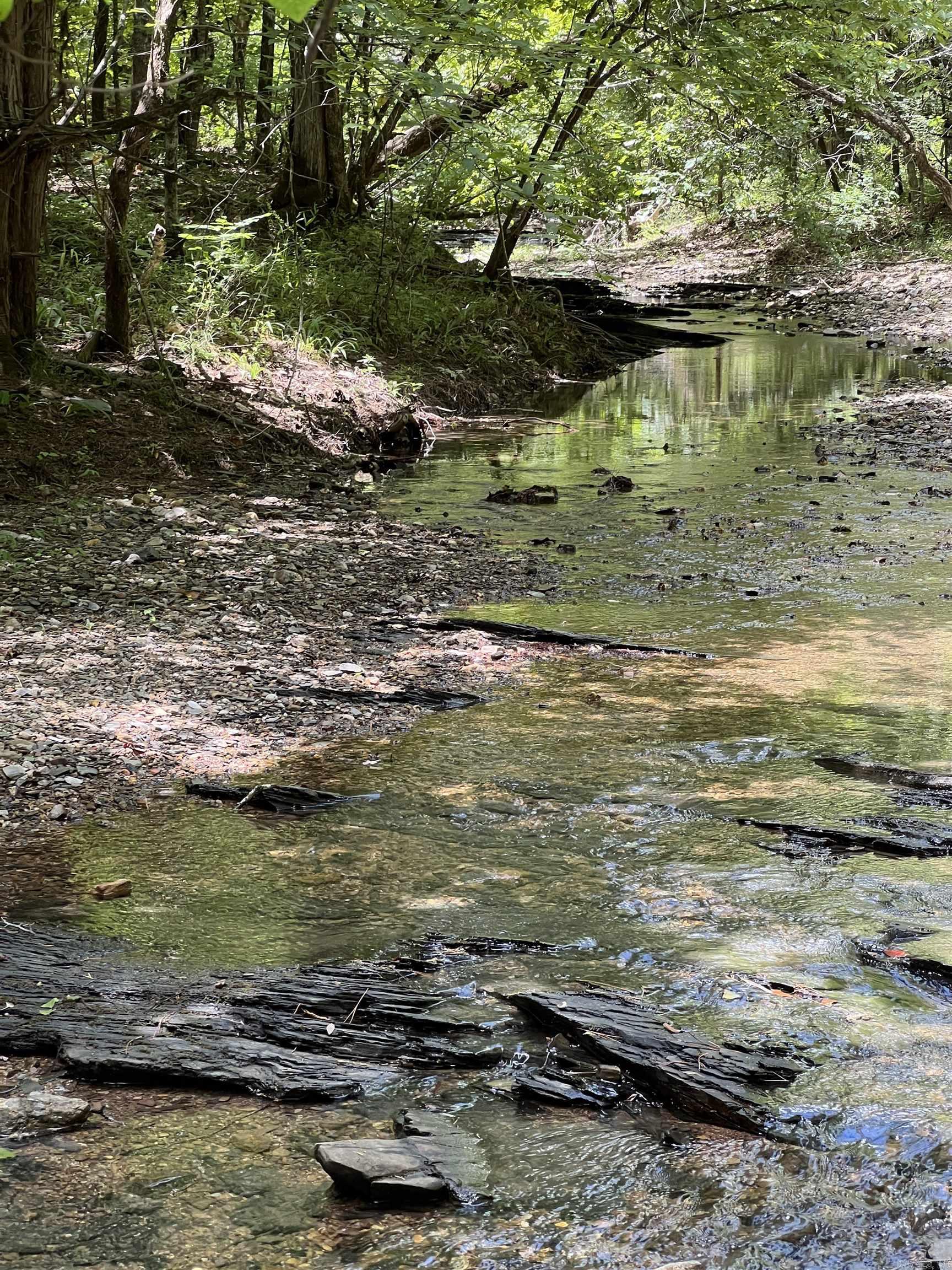 TBD Pleasant Point  Mount Ida, AR