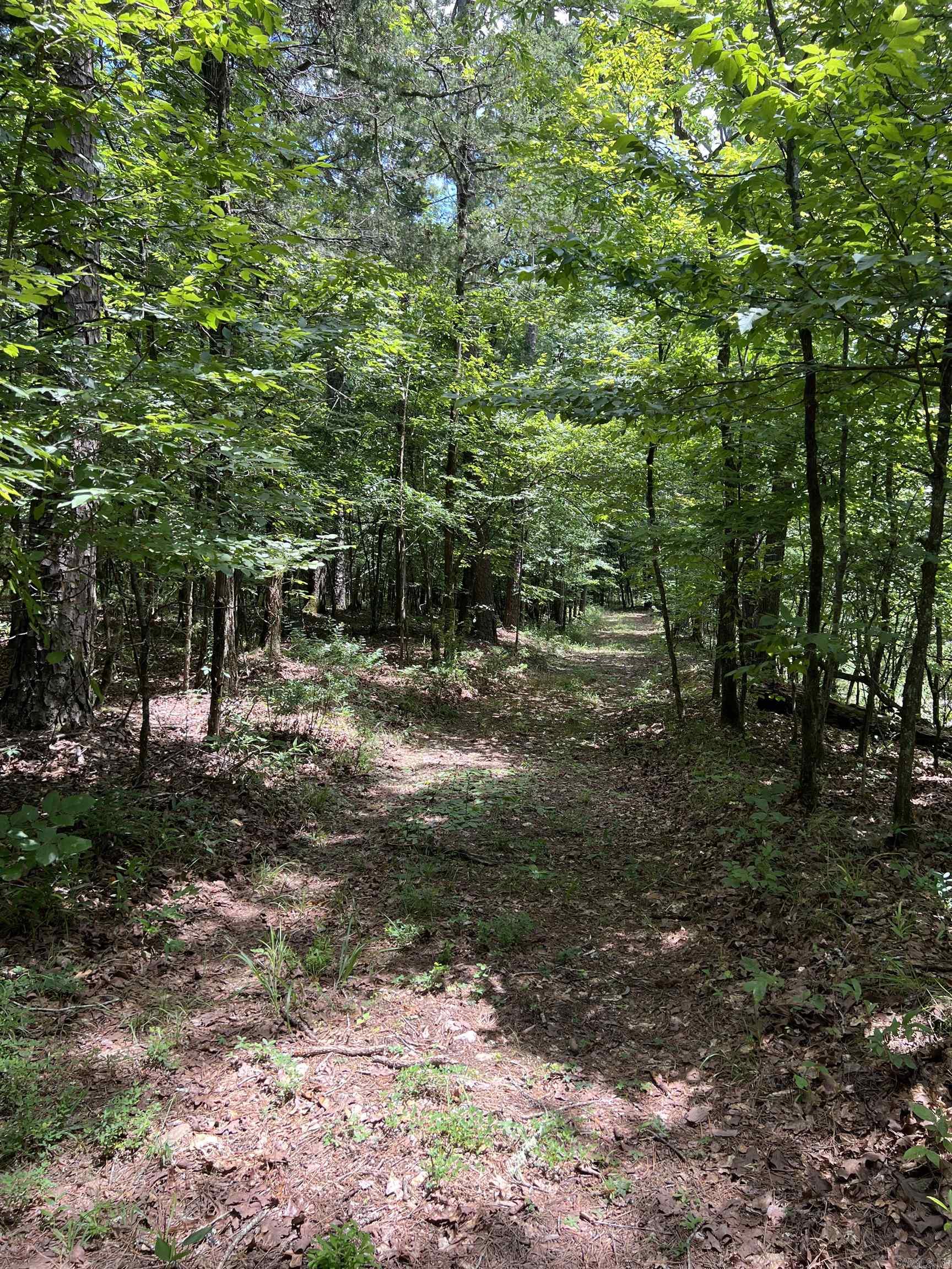 TBD Pleasant Point  Mount Ida, AR