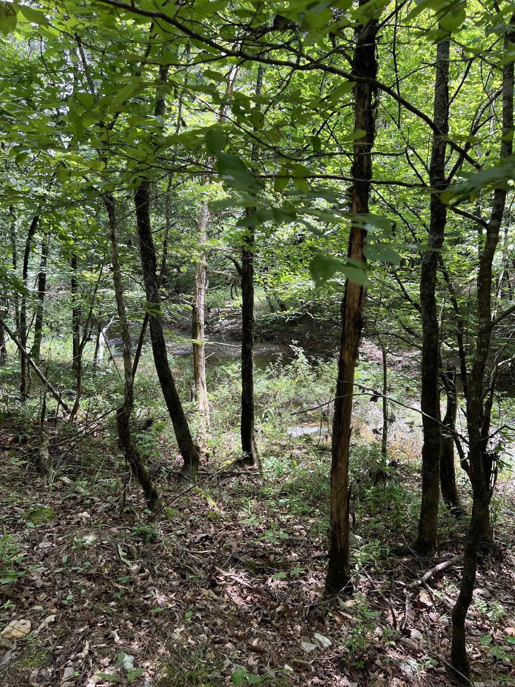 TBD Pleasant Point  Mount Ida, AR