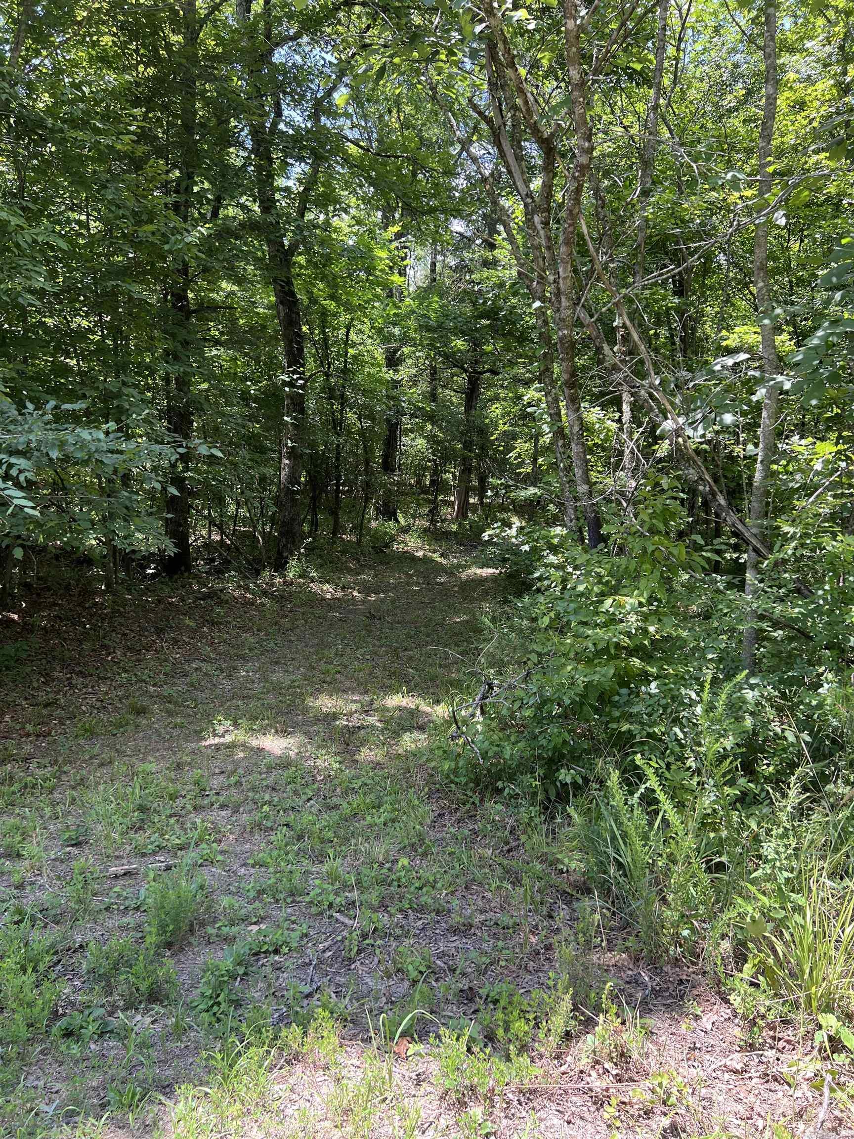 TBD Pleasant Point  Mount Ida, AR