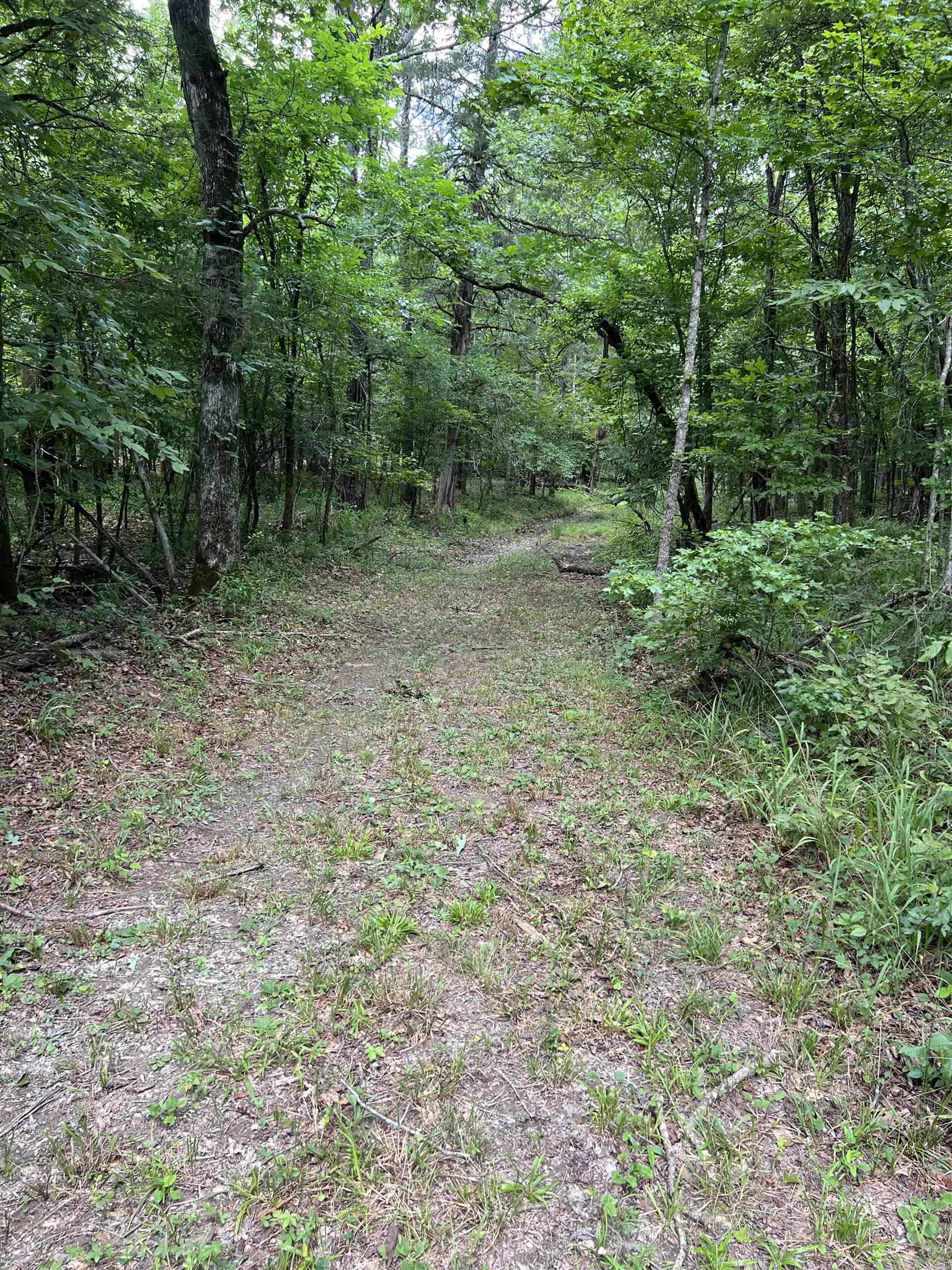 TBD Pleasant Point  Mount Ida, AR