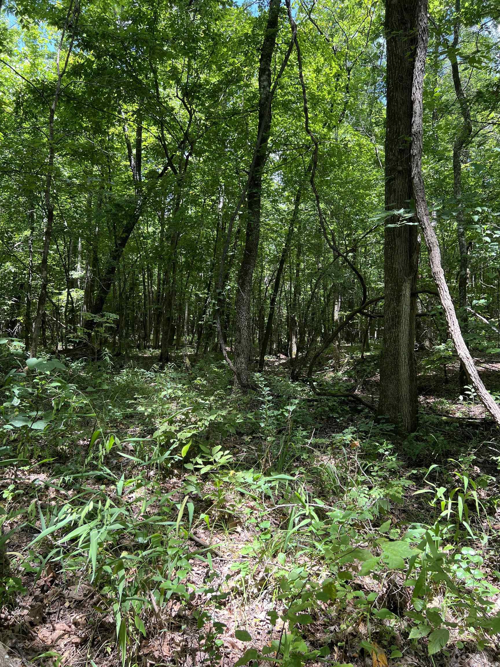 TBD Pleasant Point  Mount Ida, AR