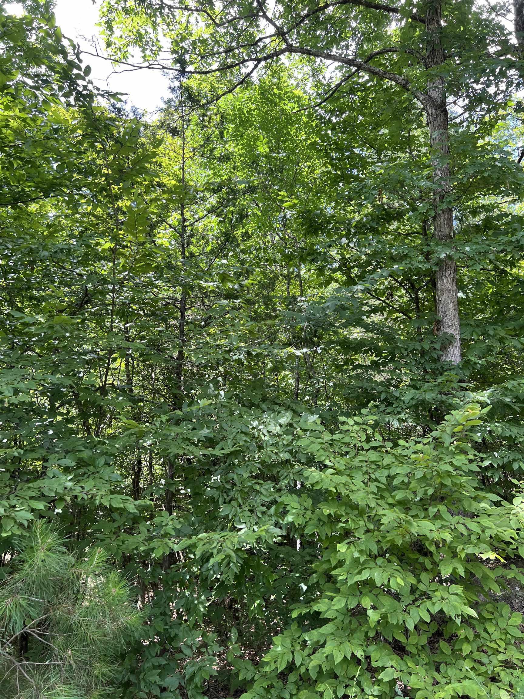 TBD Pleasant Point  Mount Ida, AR