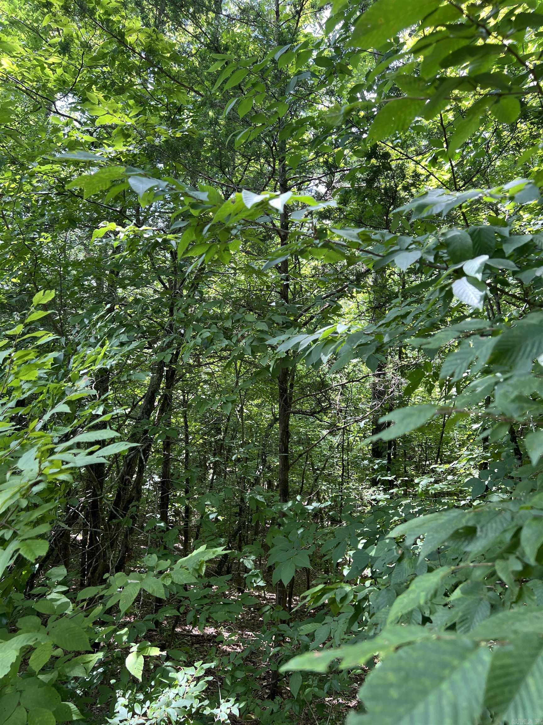 TBD Pleasant Point  Mount Ida, AR