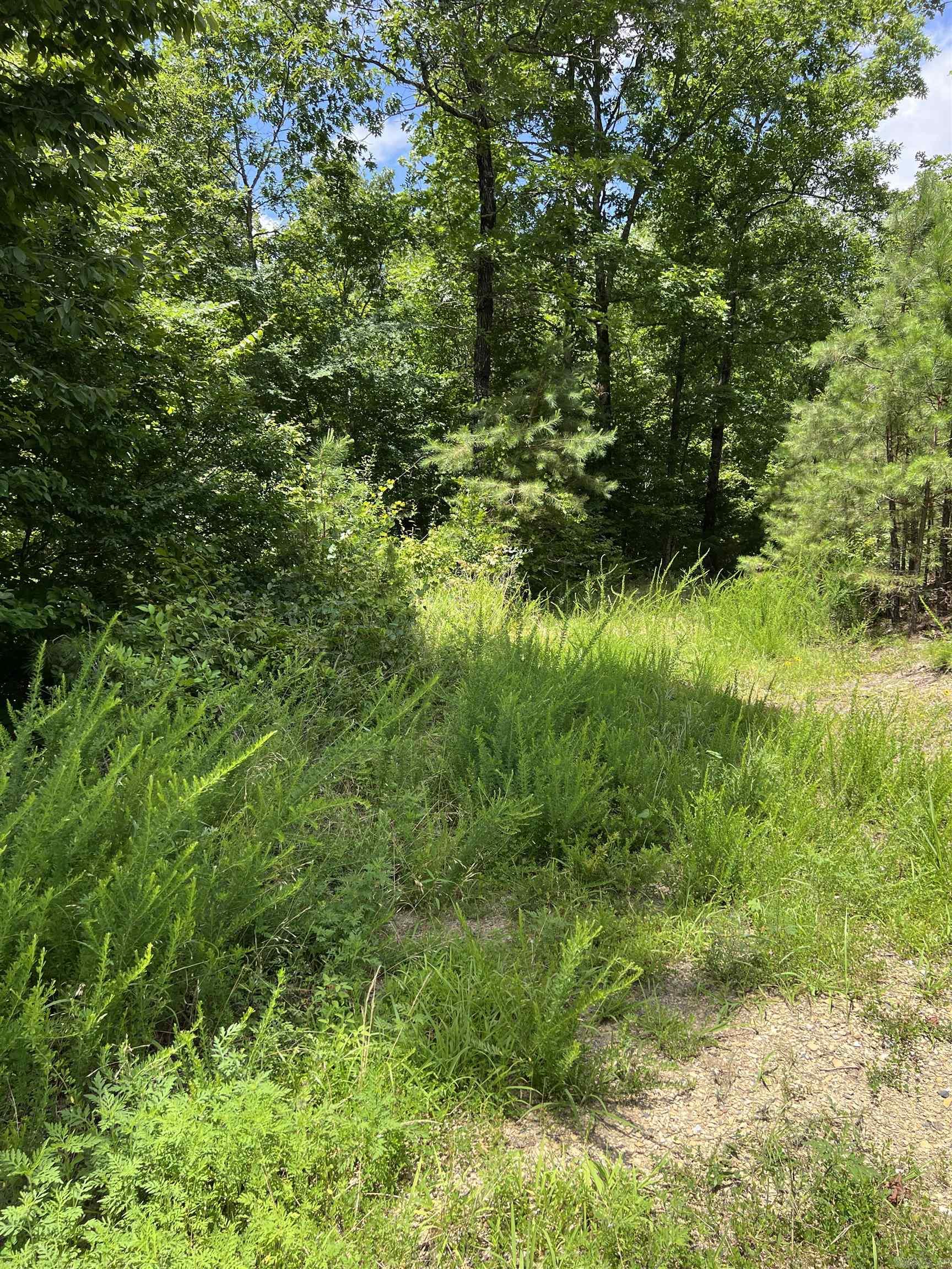 TBD Pleasant Point  Mount Ida, AR