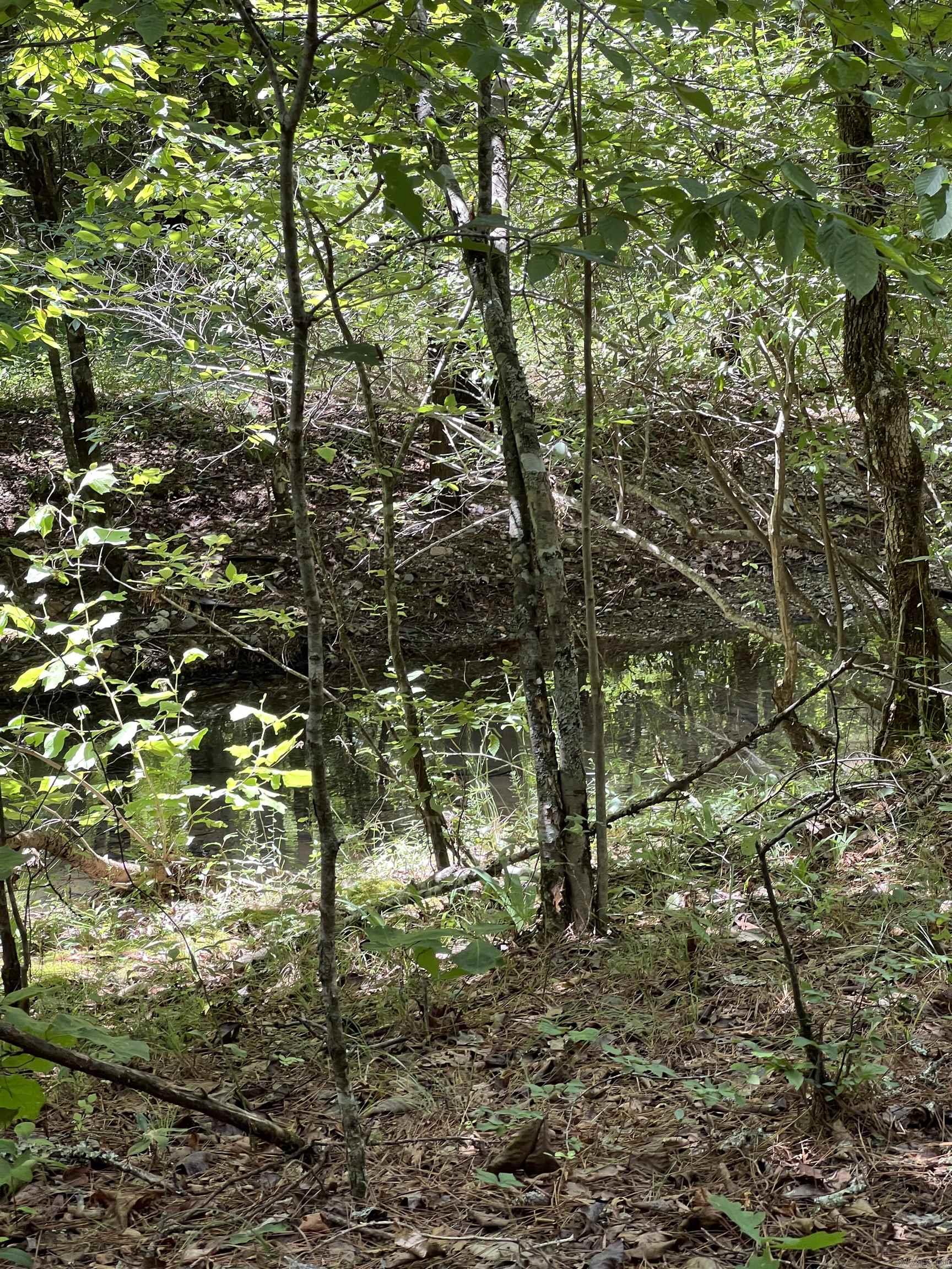 TBD Pleasant Point  Mount Ida, AR
