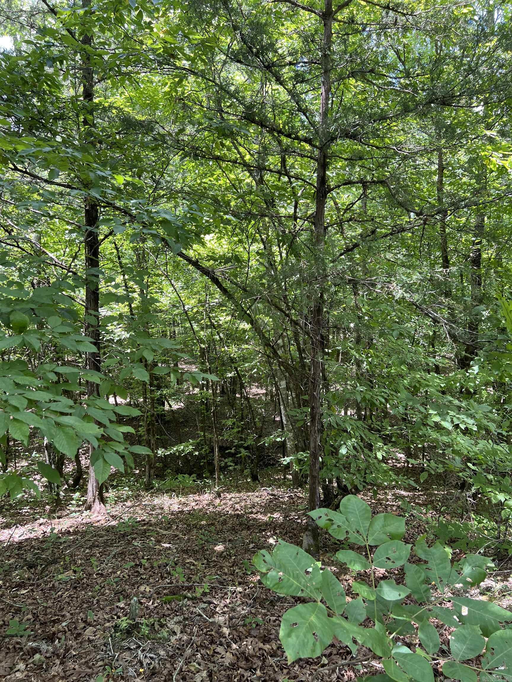 TBD Pleasant Point  Mount Ida, AR