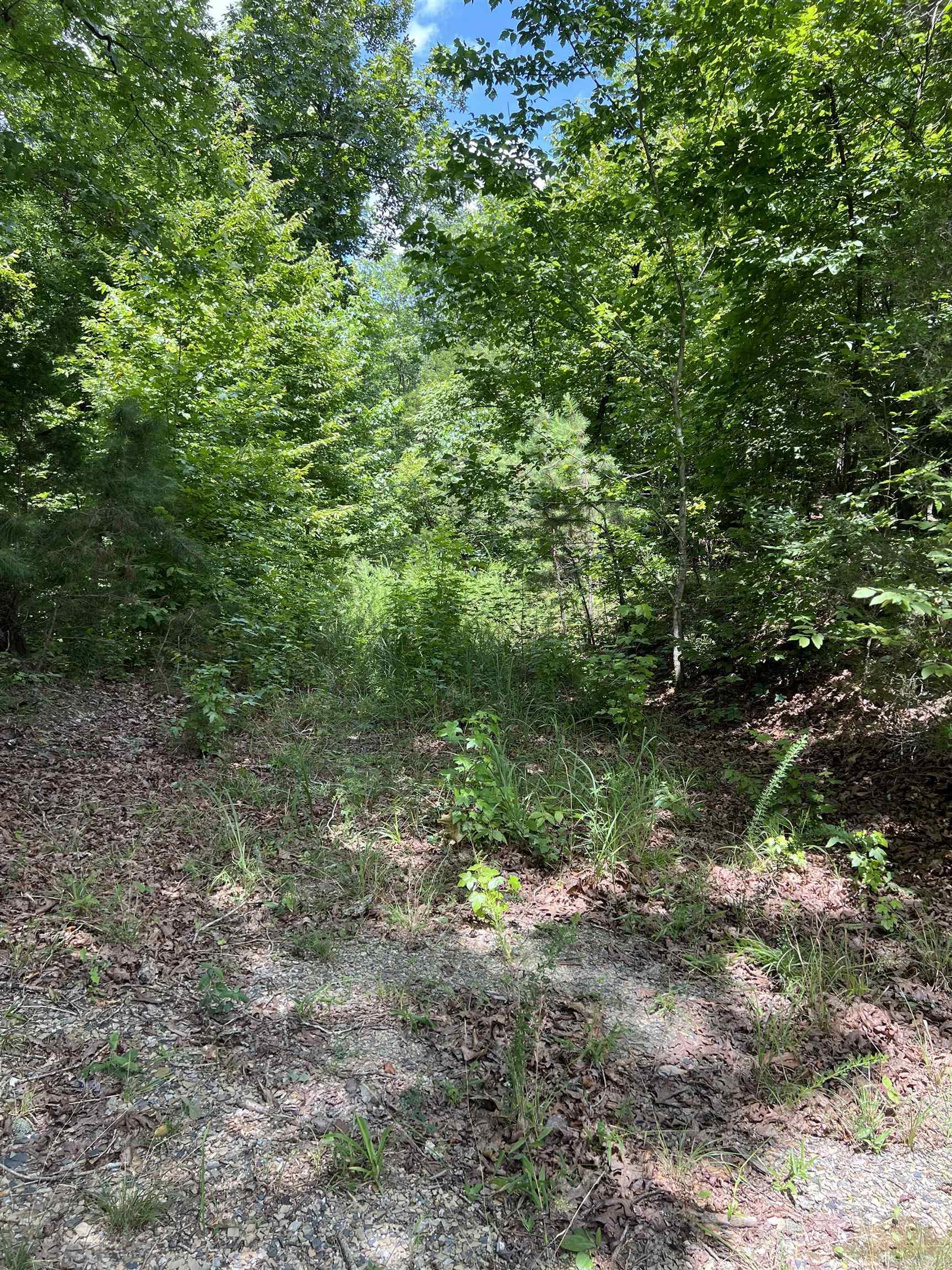 TBD Pleasant Point  Mount Ida, AR