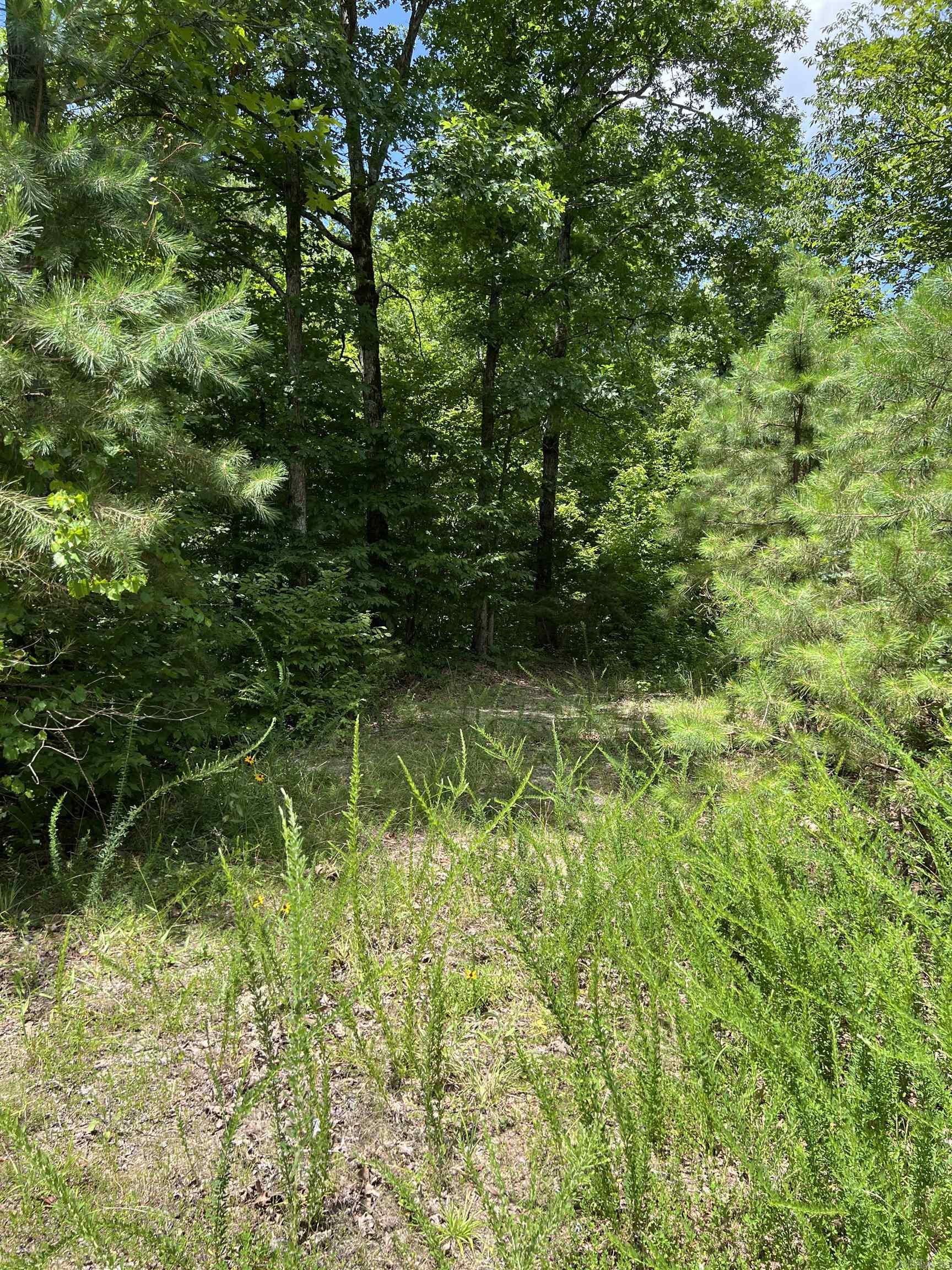 TBD Pleasant Point  Mount Ida, AR