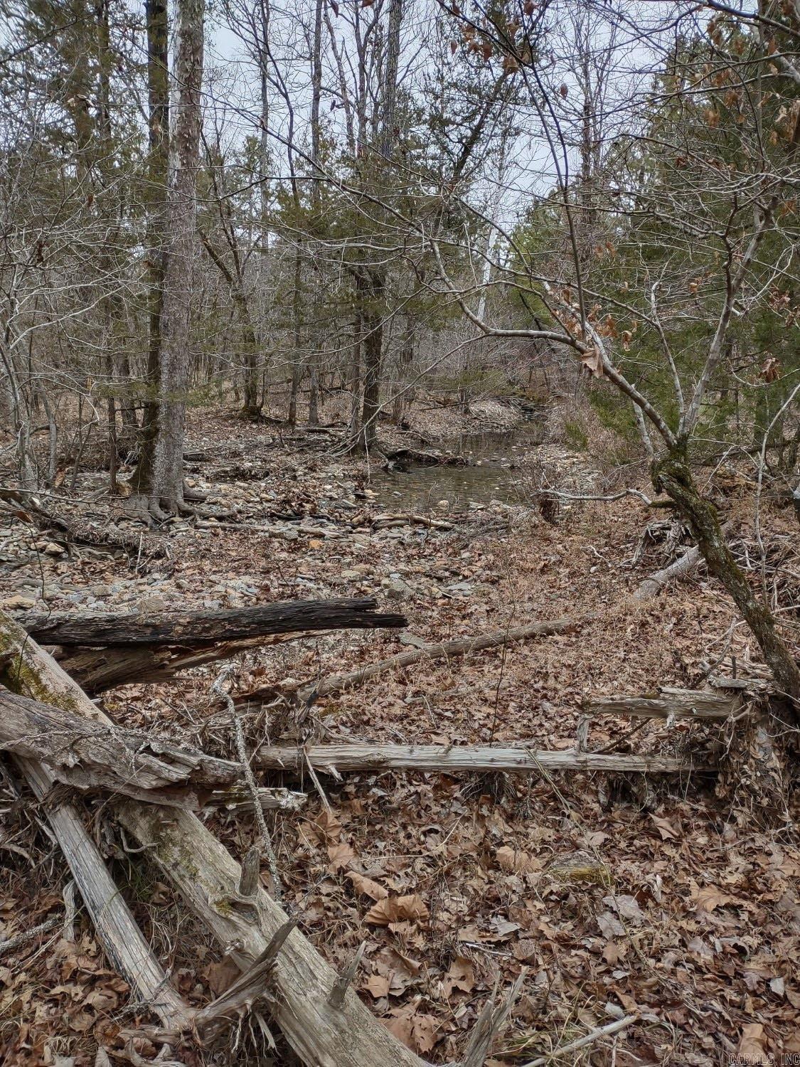 TBD Pleasant Point  Mount Ida, AR