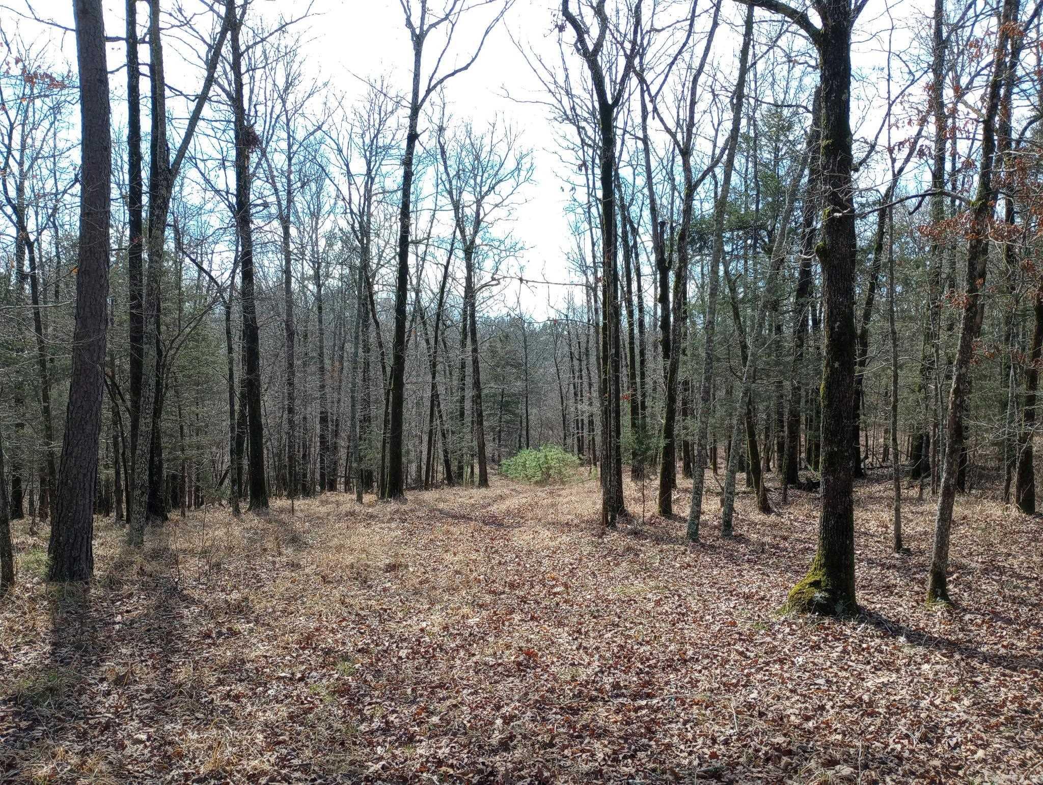 TBD Pleasant Point  Mount Ida, AR