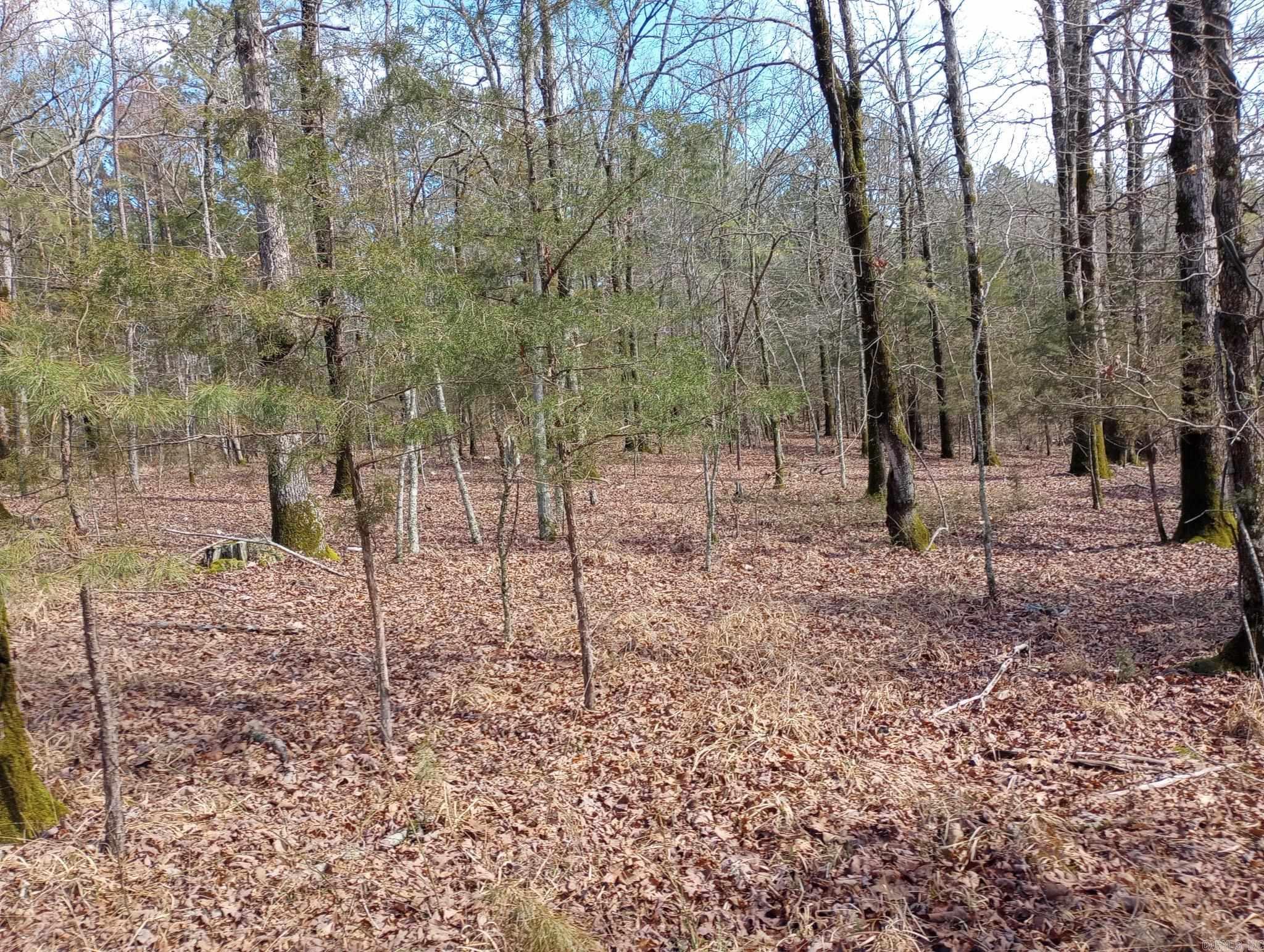 TBD Pleasant Point  Mount Ida, AR