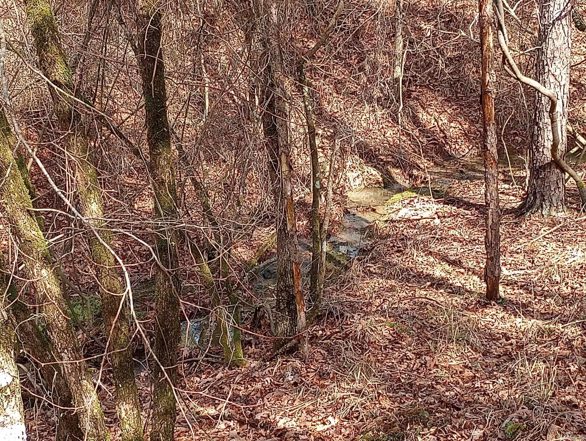 TBD Pleasant Point  Mount Ida, AR