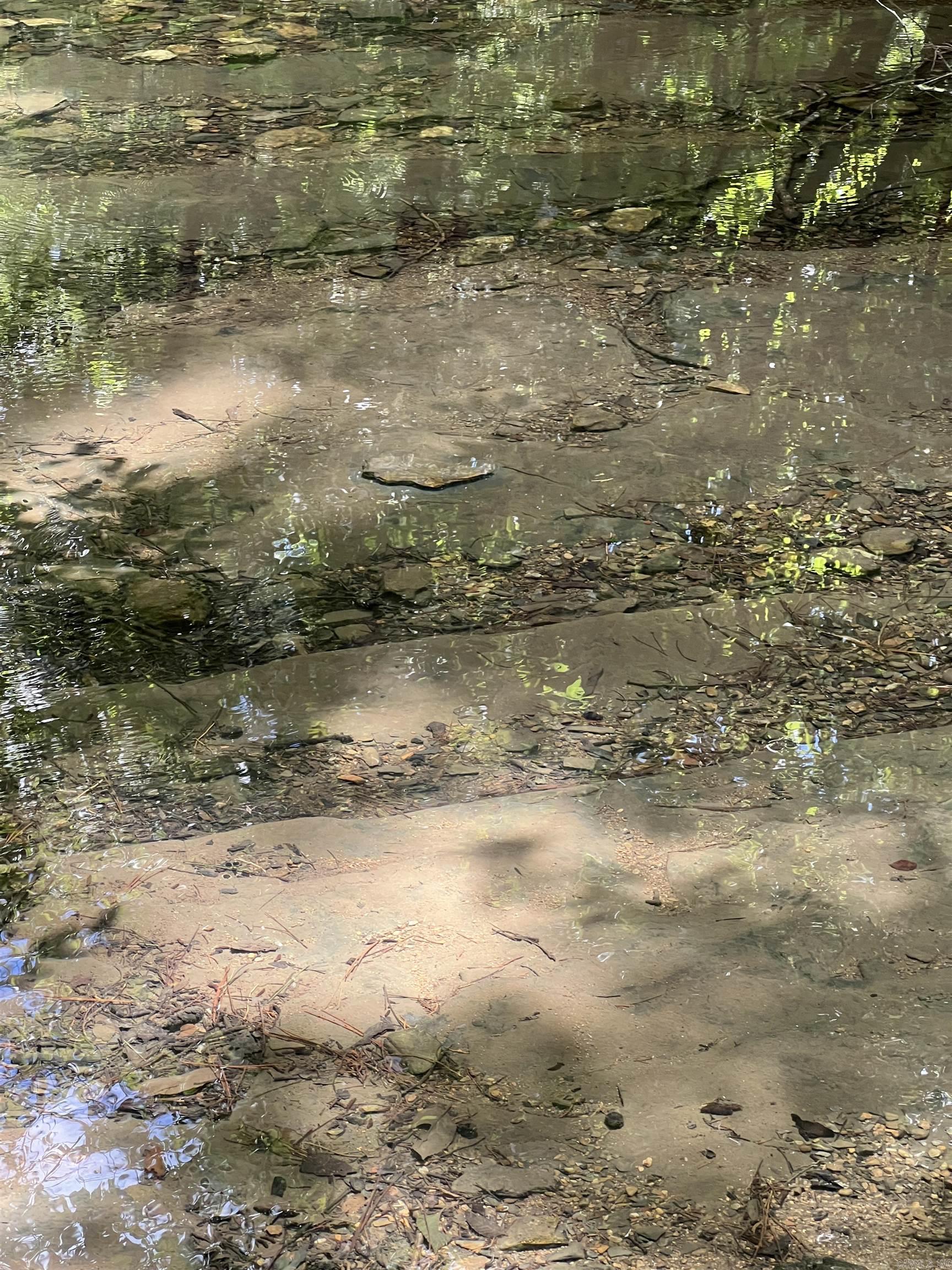 TBD Pleasant Point  Mount Ida, AR