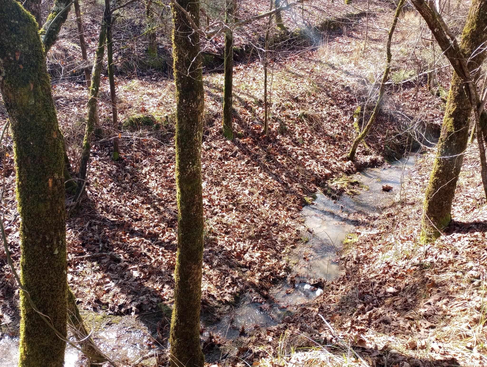 TBD Pleasant Point  Mount Ida, AR