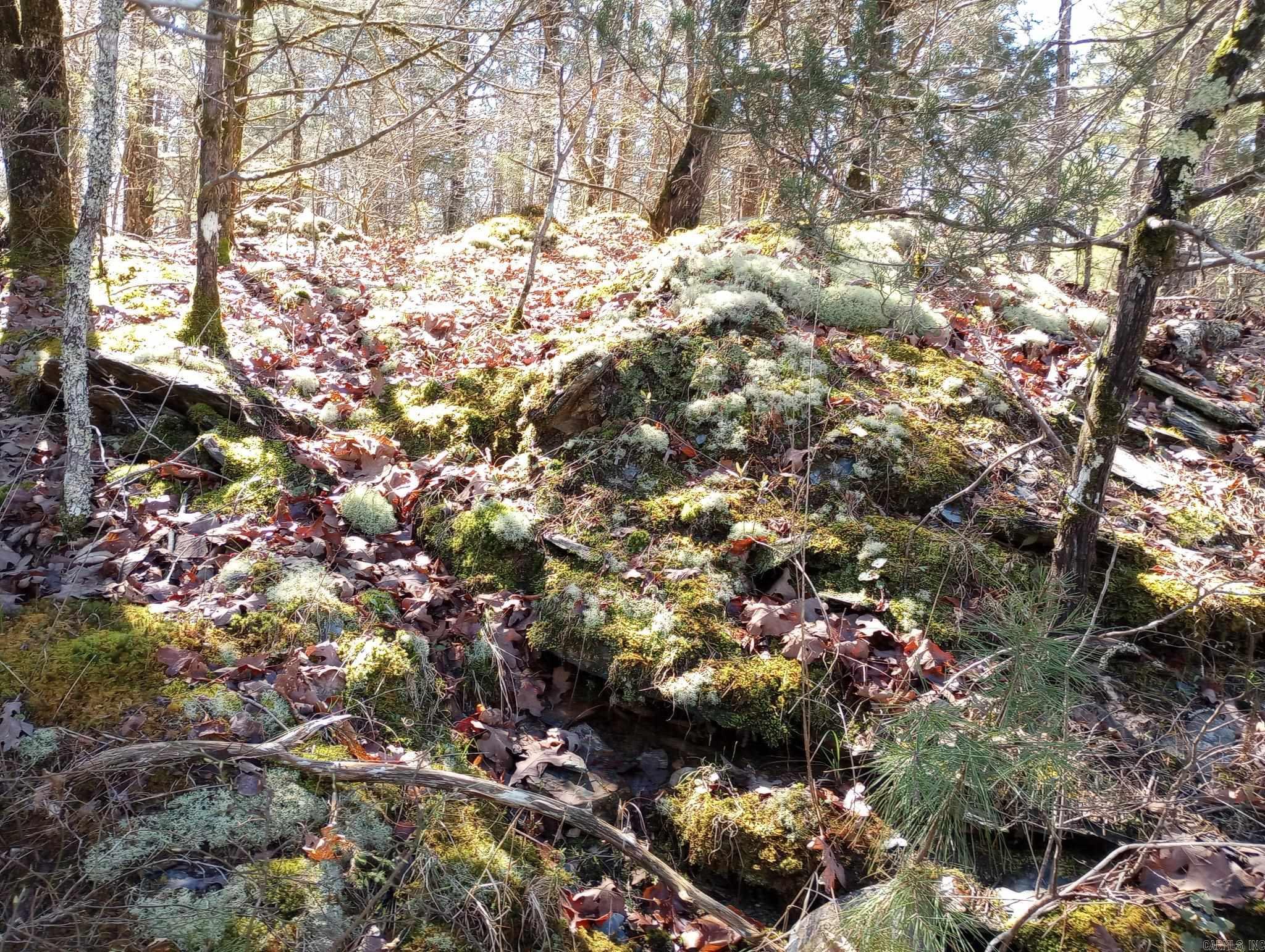 TBD Pleasant Point  Mount Ida, AR