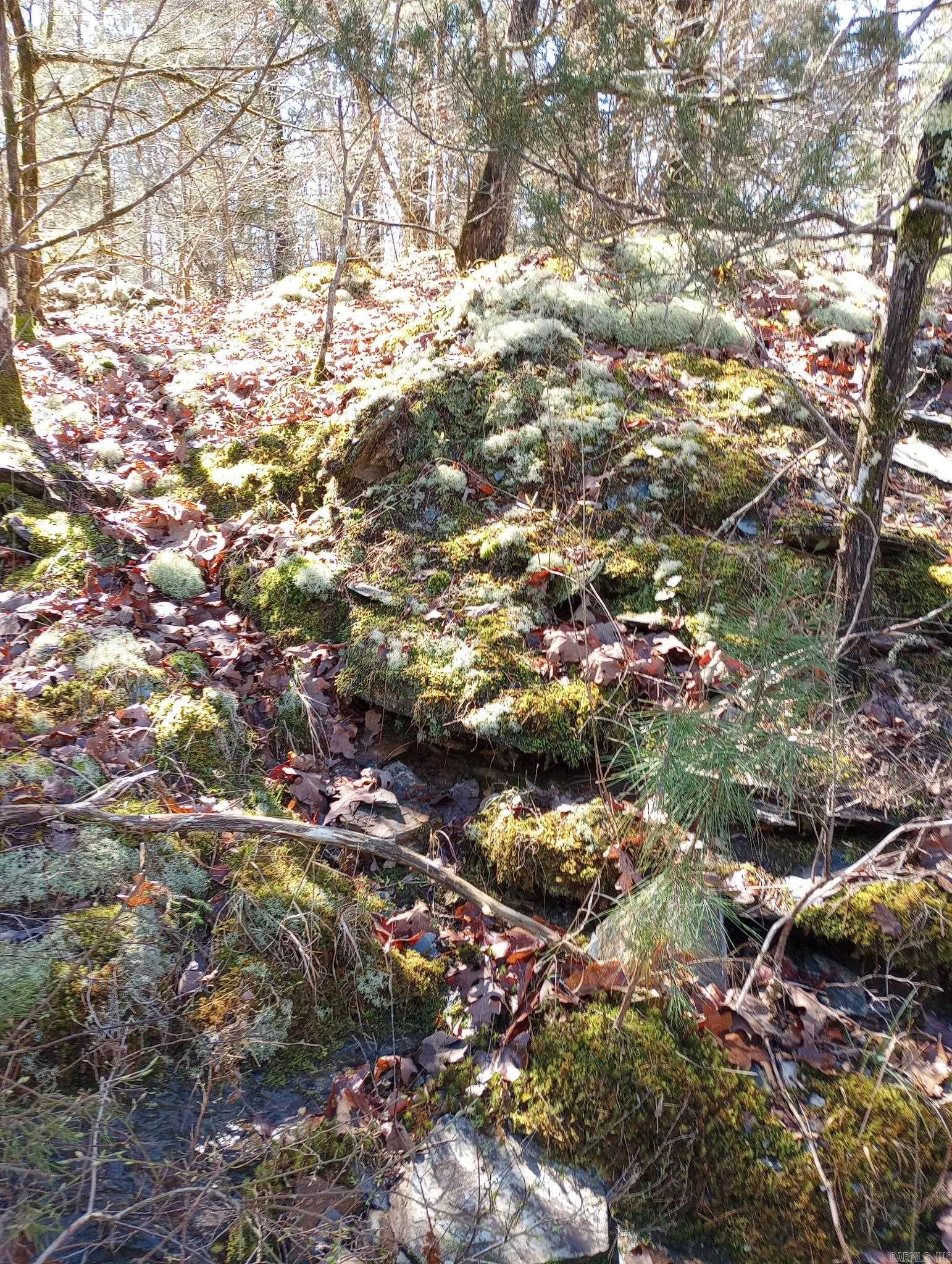 TBD Pleasant Point  Mount Ida, AR