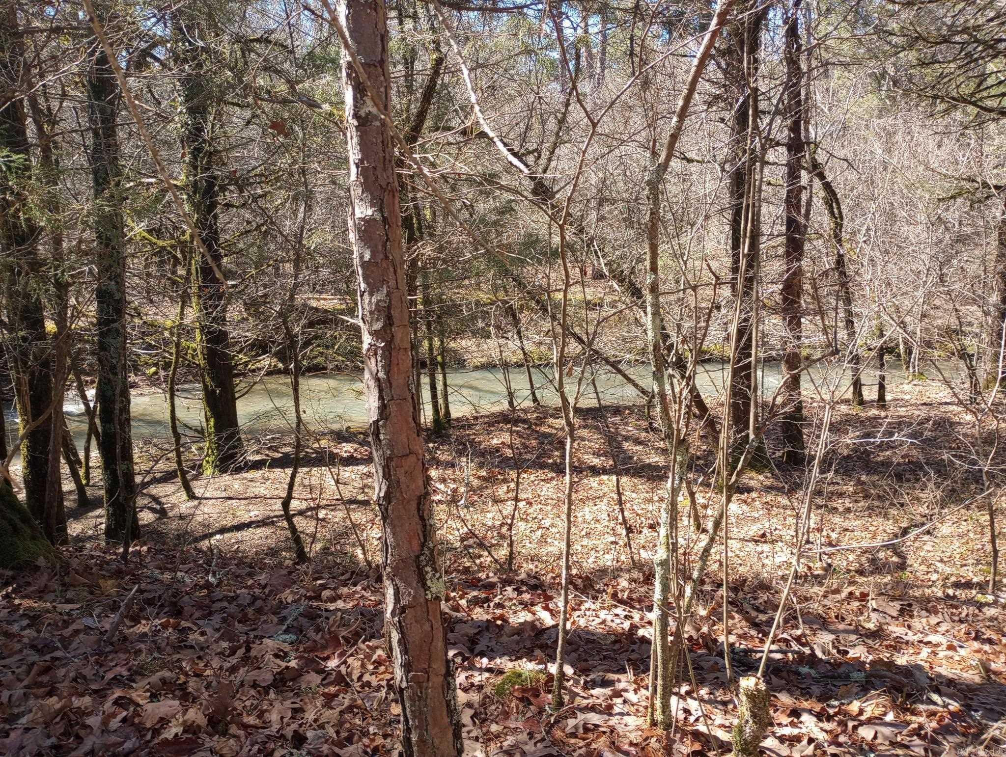TBD Pleasant Point  Mount Ida, AR
