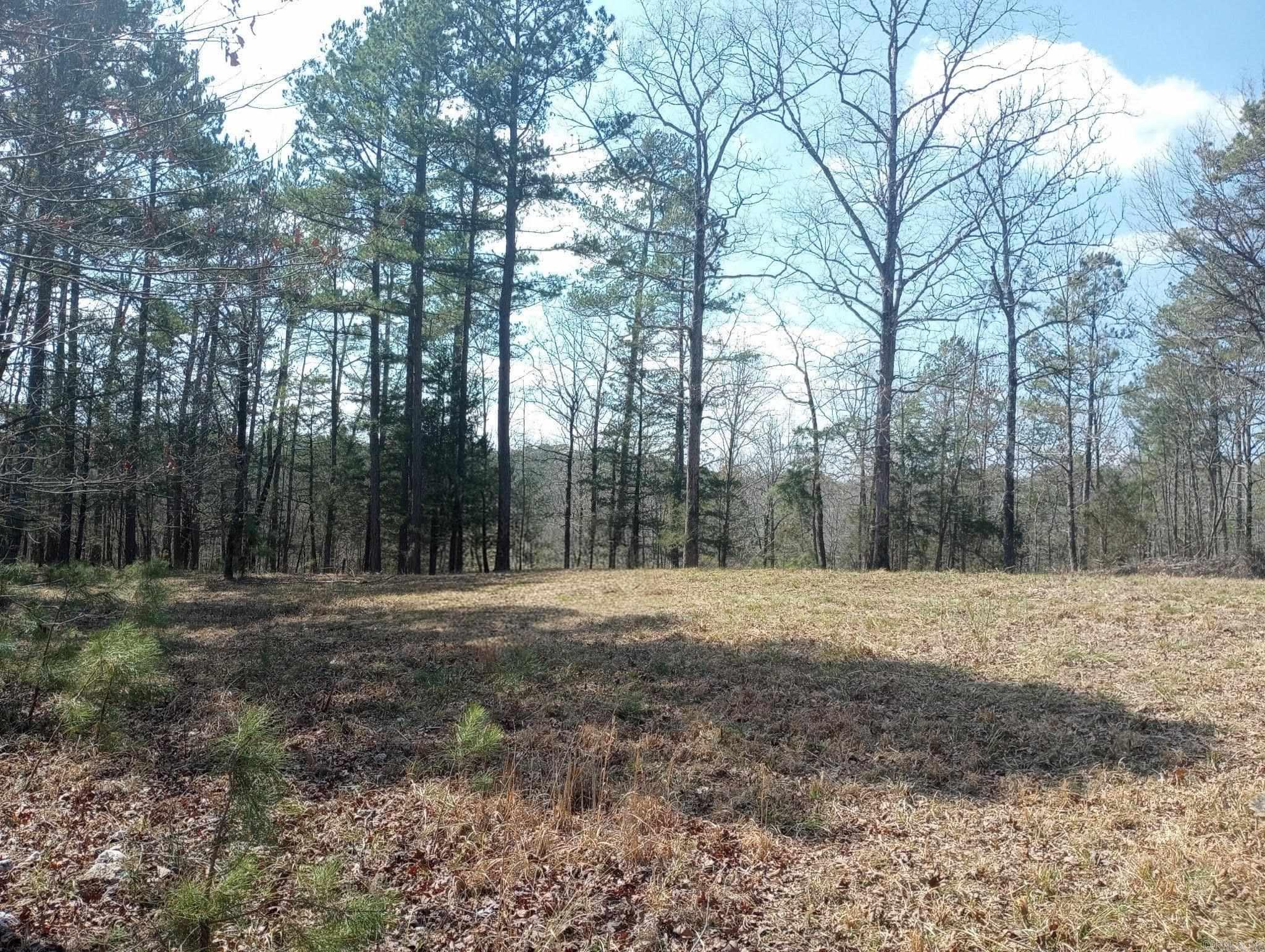 TBD Pleasant Point  Mount Ida, AR