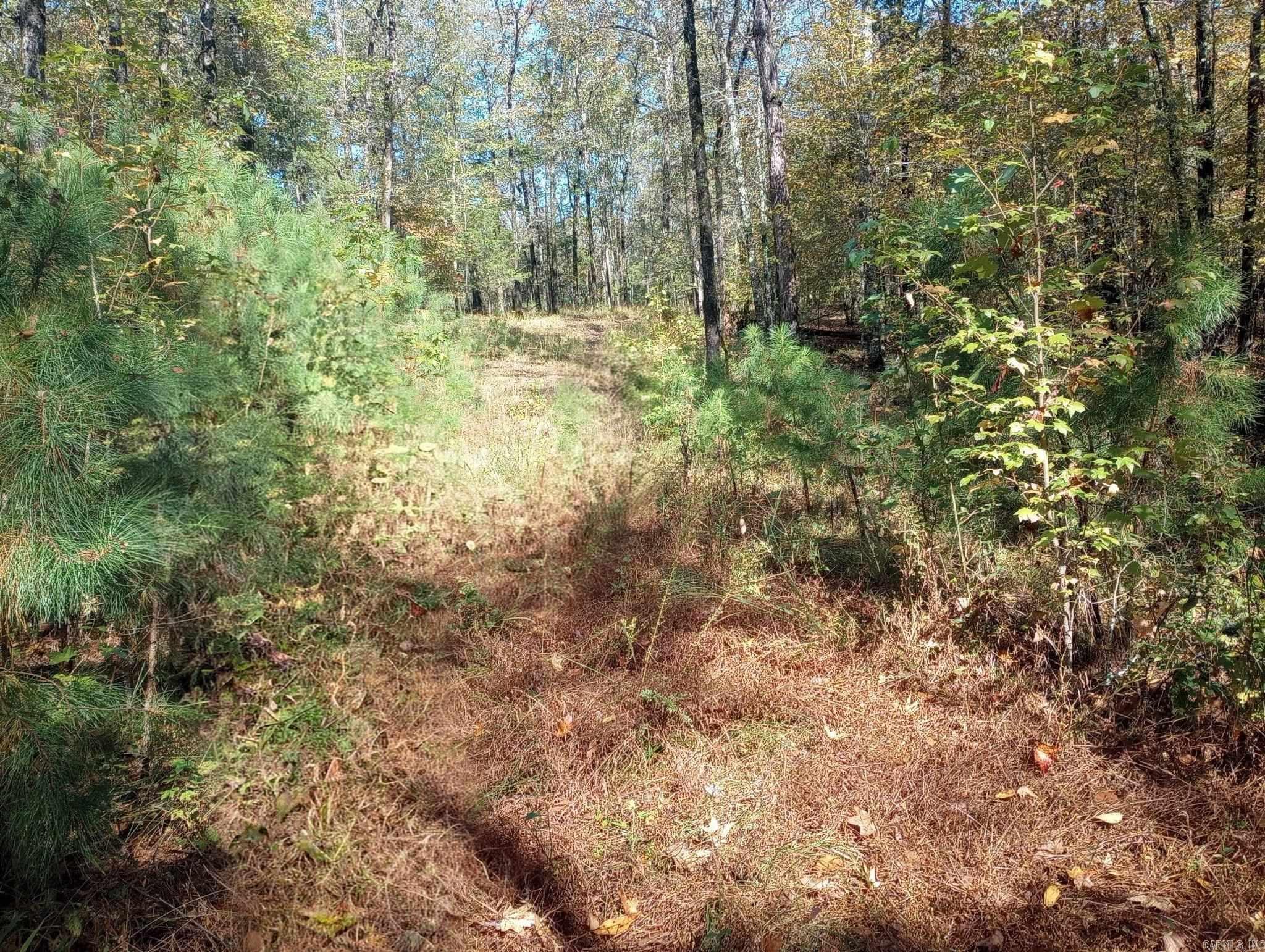 TBD Pleasant Point  Mount Ida, AR