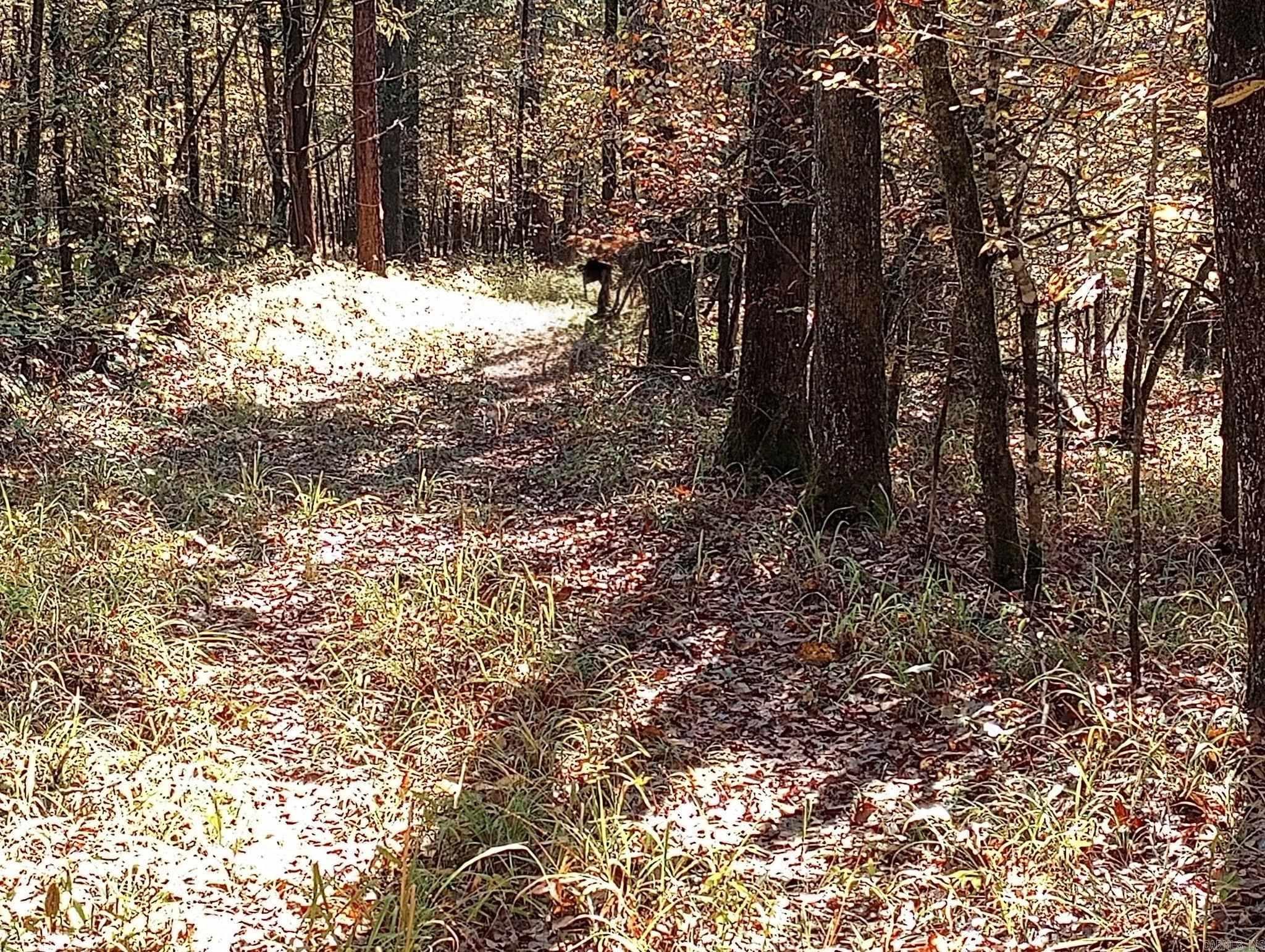 TBD Pleasant Point  Mount Ida, AR