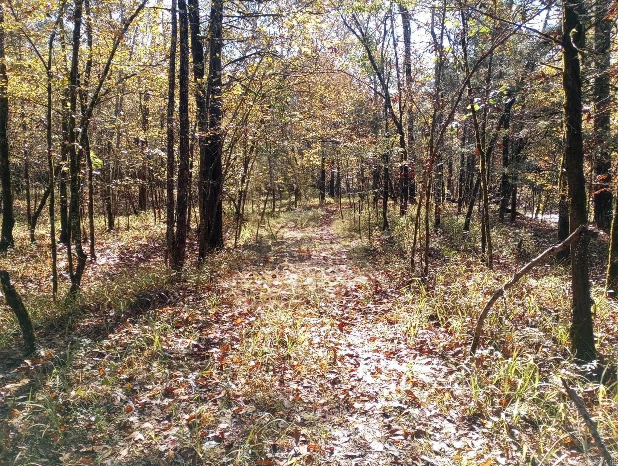 TBD Pleasant Point  Mount Ida, AR