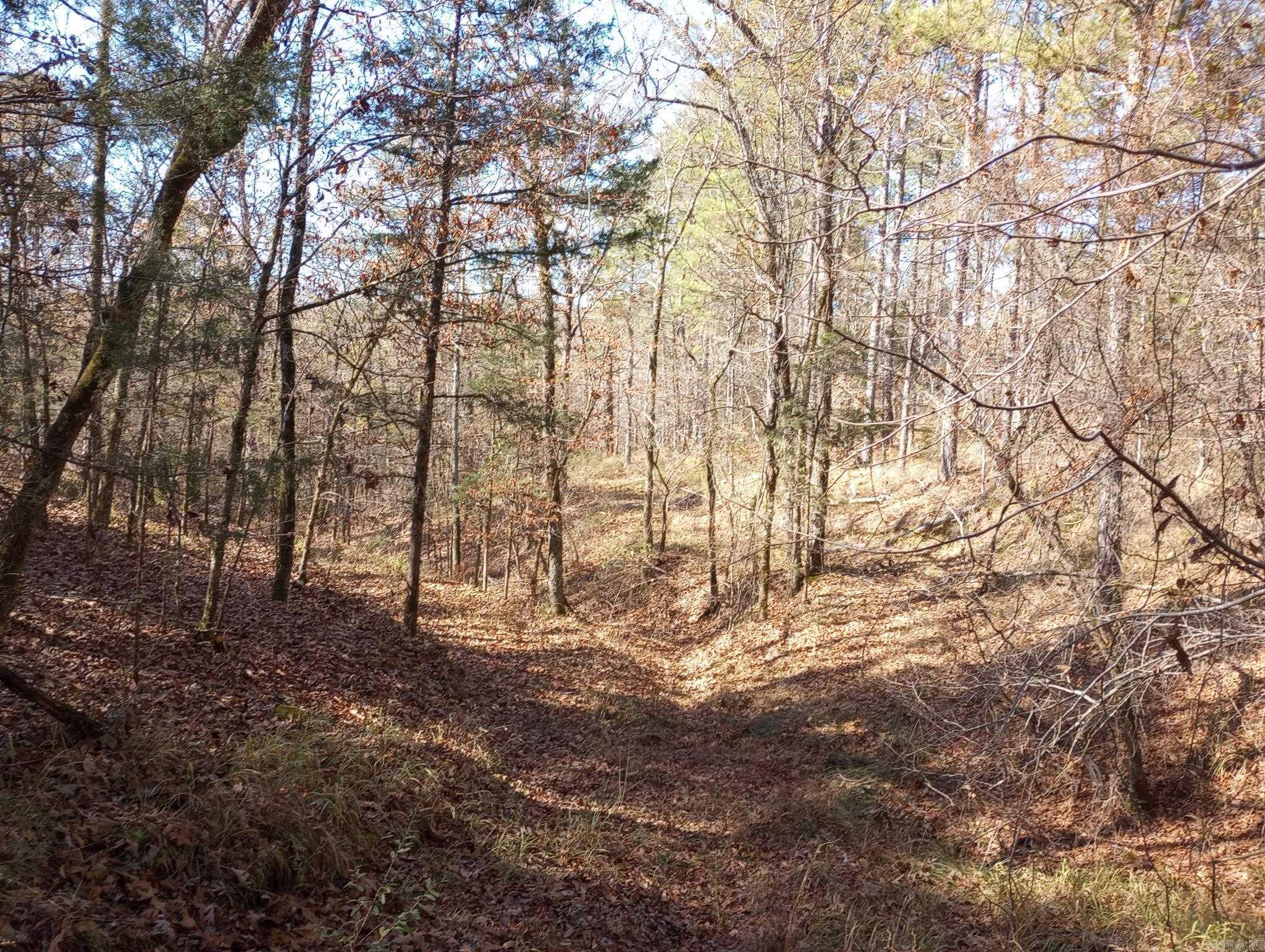 TBD Pleasant Point  Mount Ida, AR