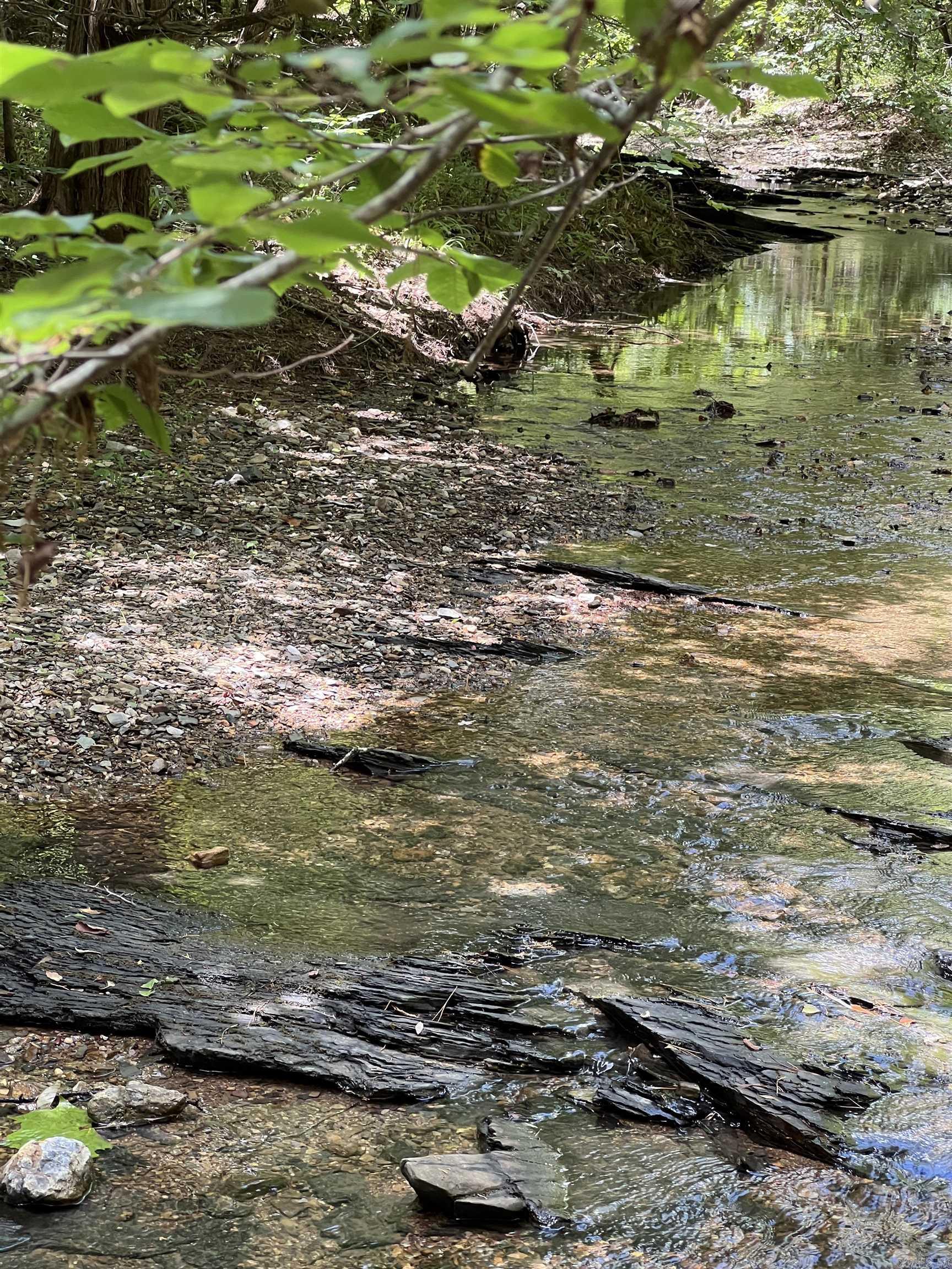 TBD Pleasant Point  Mount Ida, AR