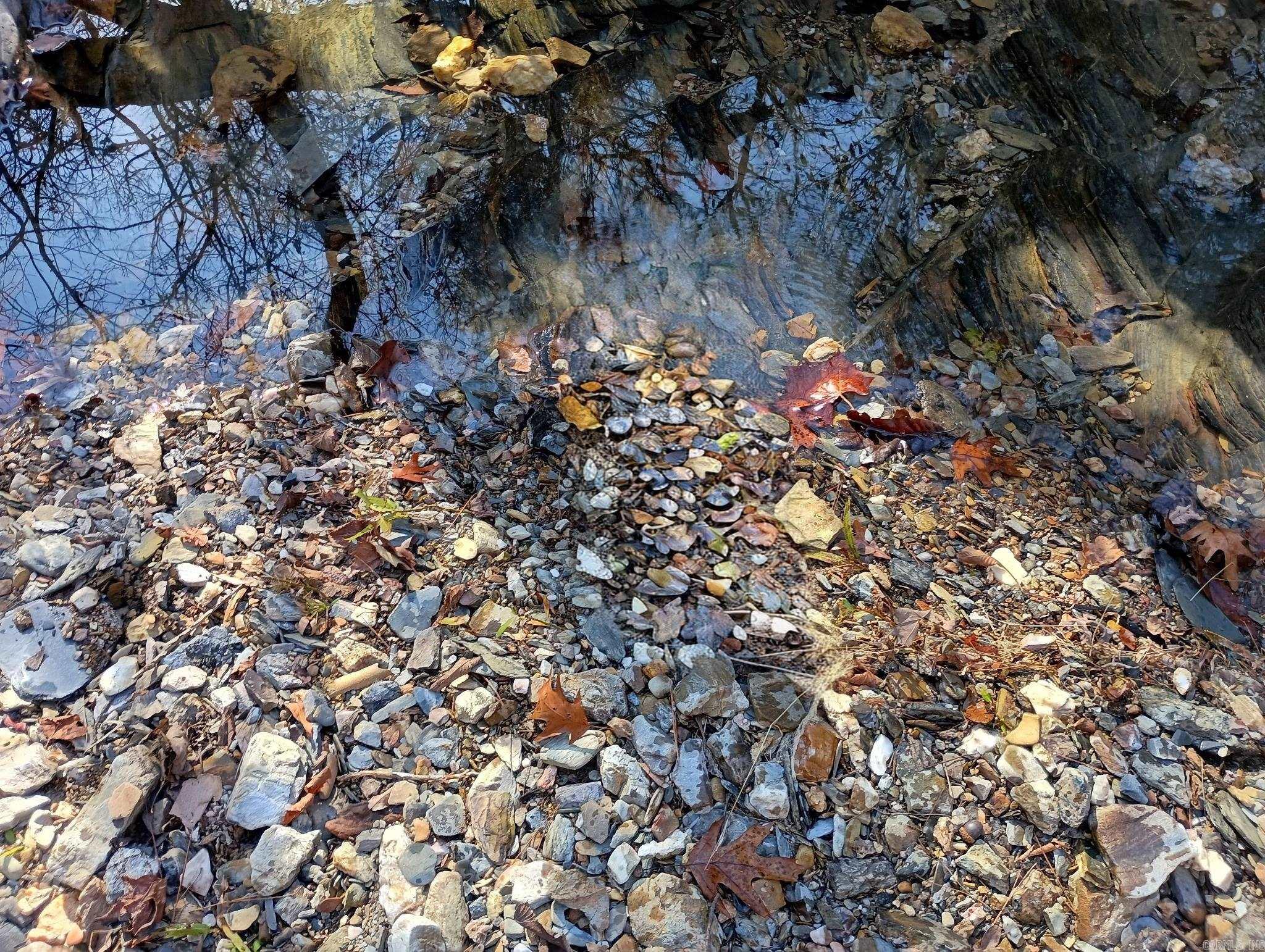 TBD Pleasant Point  Mount Ida, AR