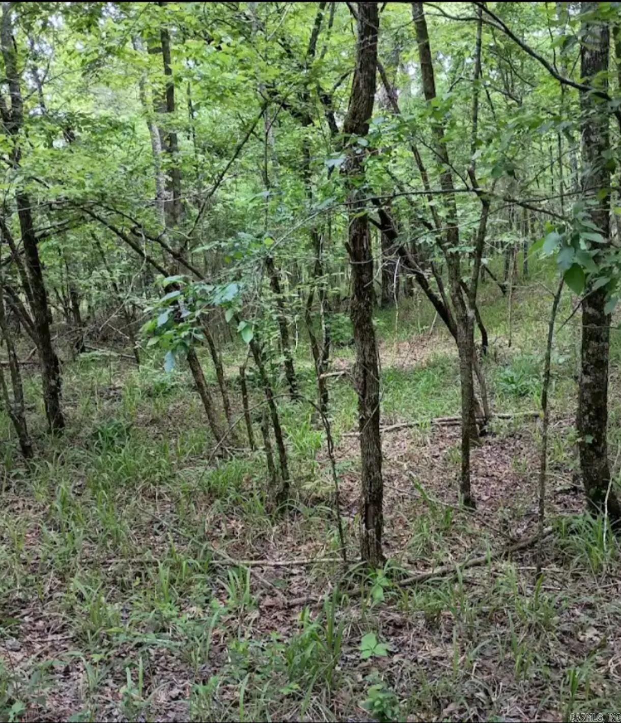TBD Pleasant Point  Mount Ida, AR