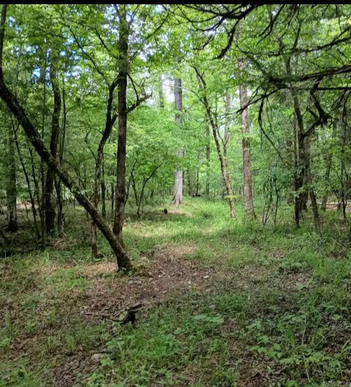 TBD Pleasant Point  Mount Ida, AR
