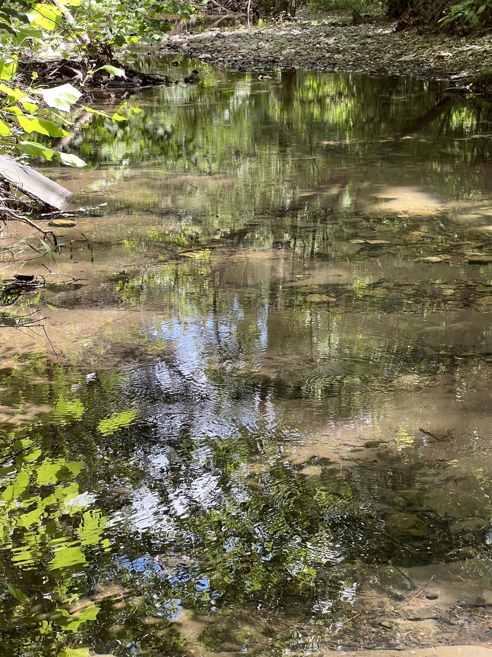 TBD Pleasant Point  Mount Ida, AR