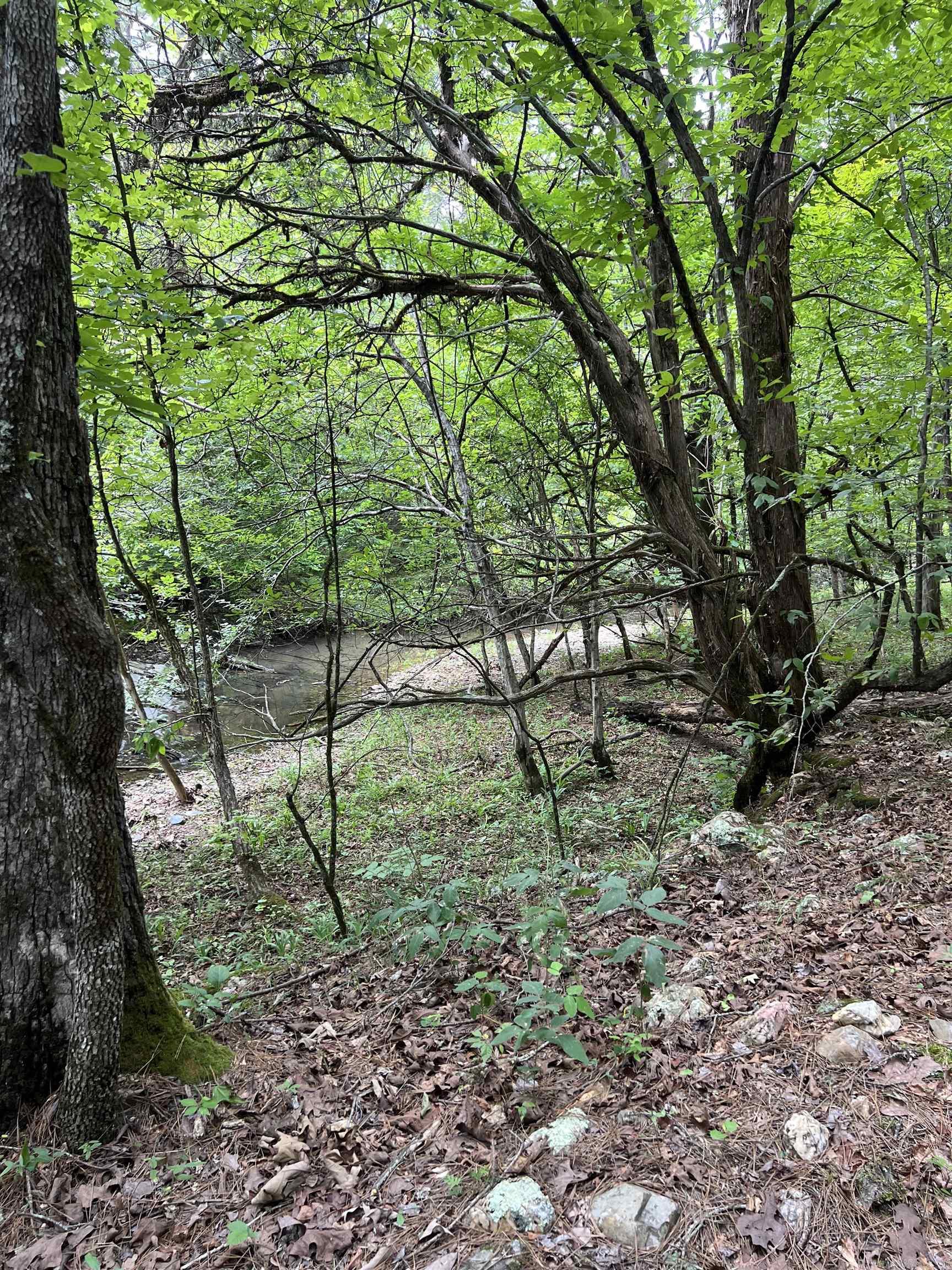 TBD Pleasant Point  Mount Ida, AR