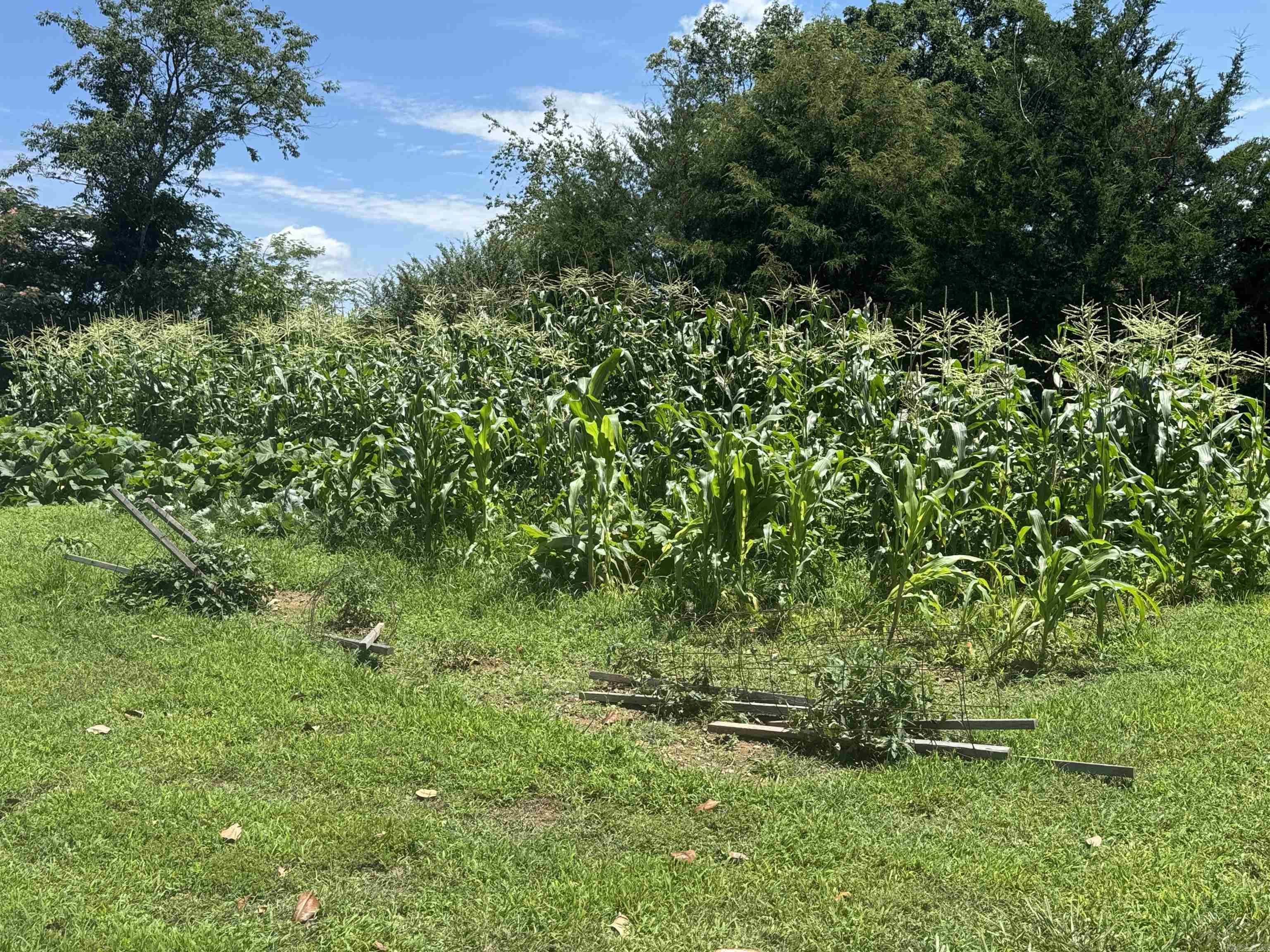 4194 Prim  Prim, AR
