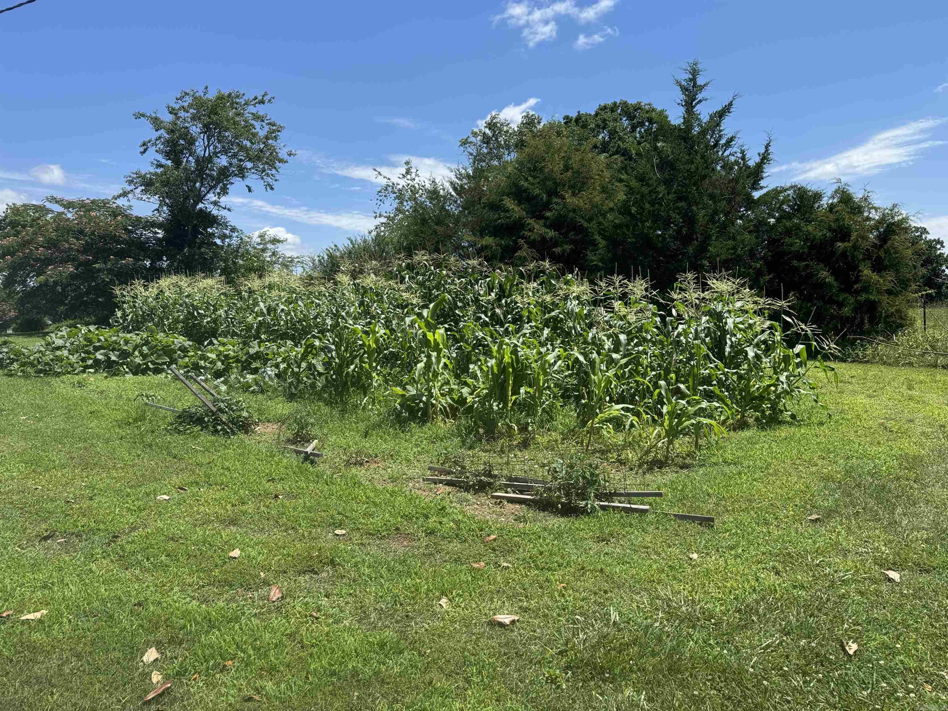 4194 Prim  Prim, AR