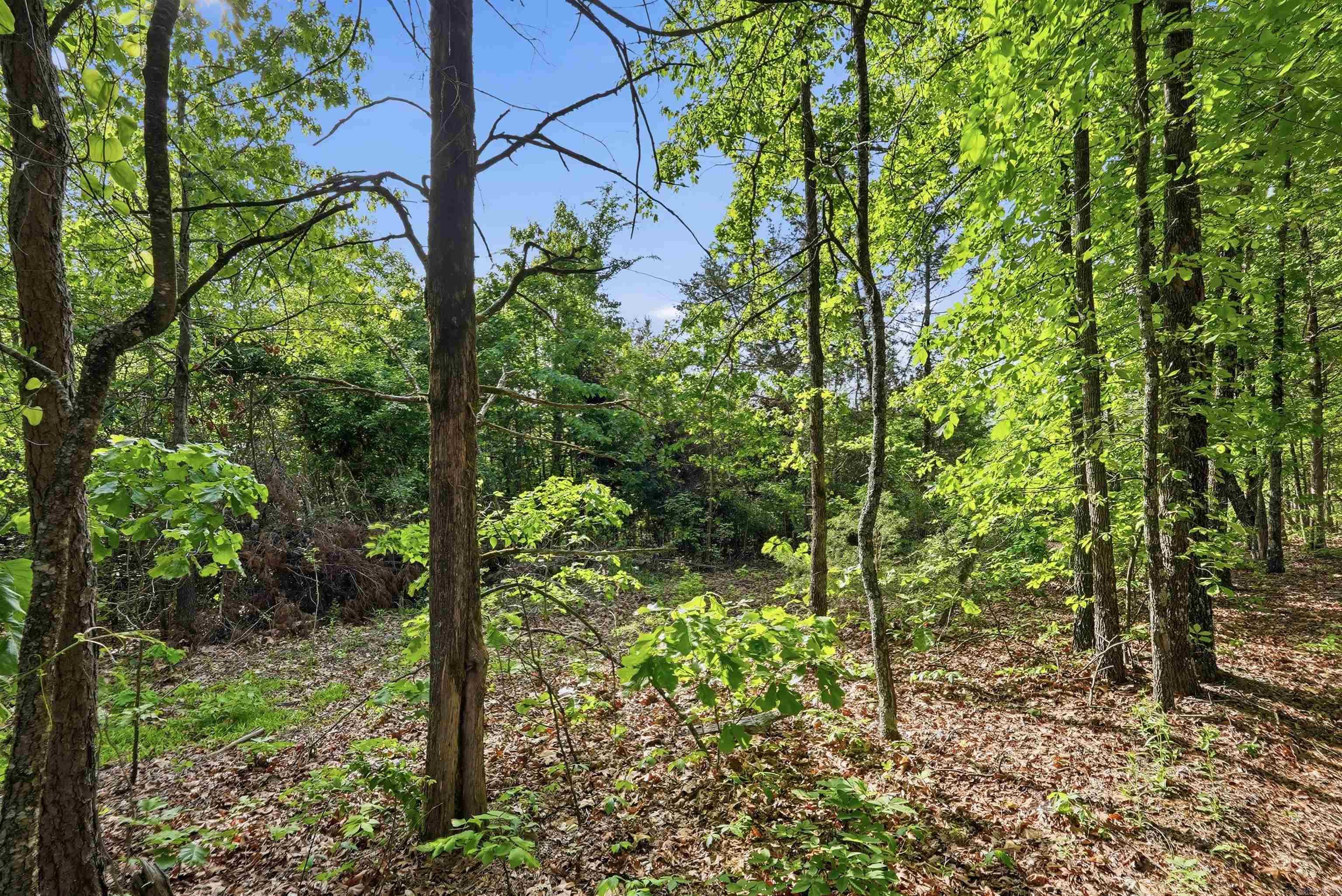 0 Pioneer  Twin Groves, AR