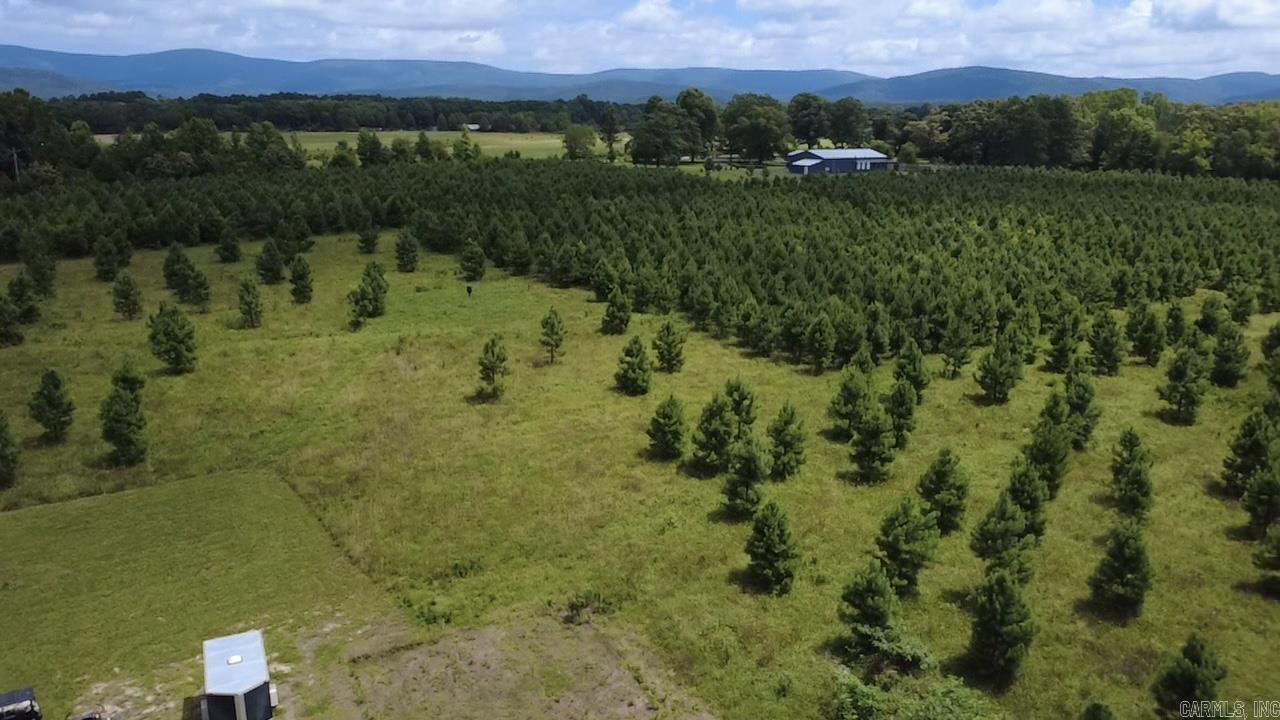 TBD Serenity Ln  Mena, AR