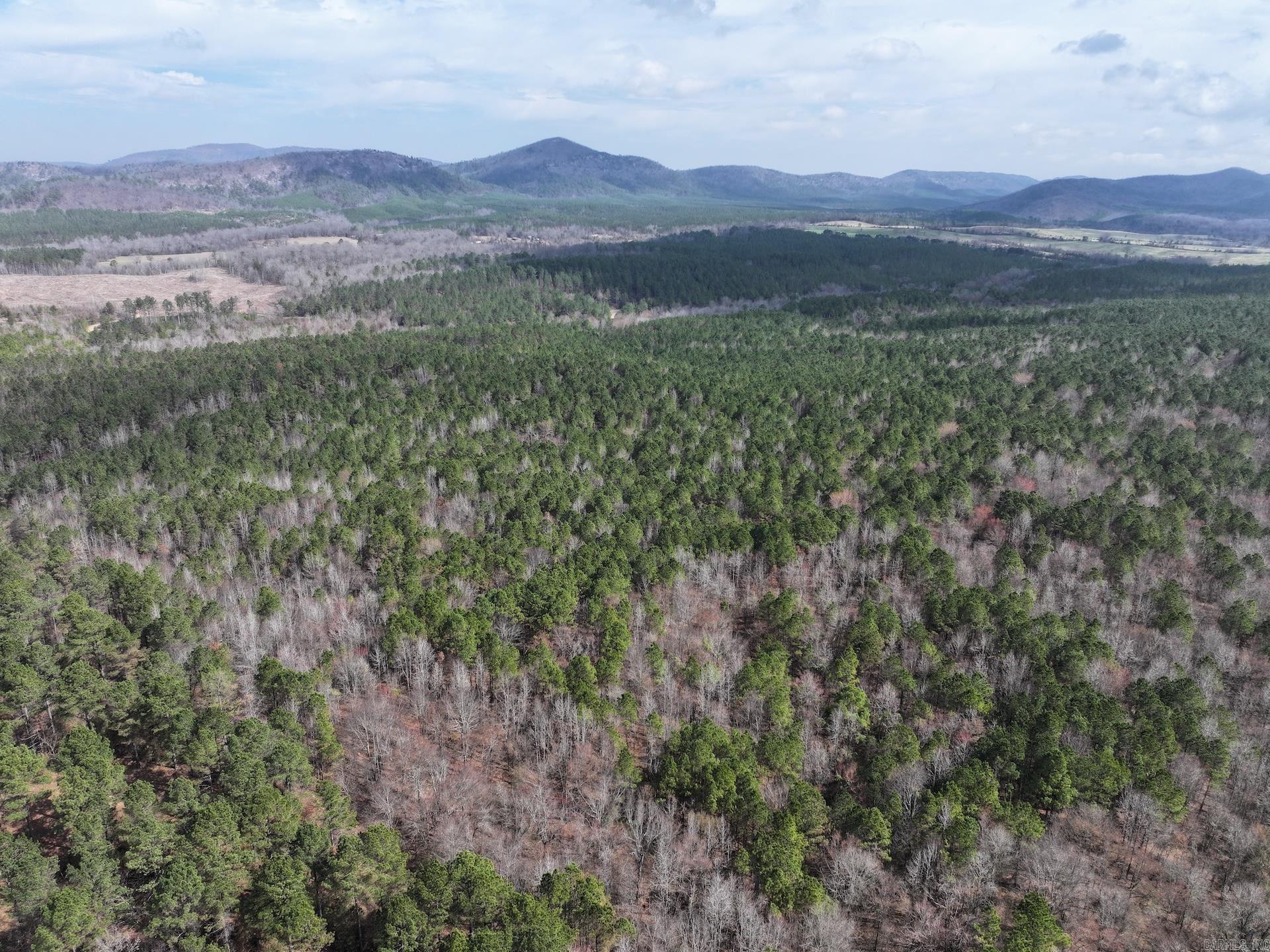 XXX J Dunson Tract 1 Langley, AR