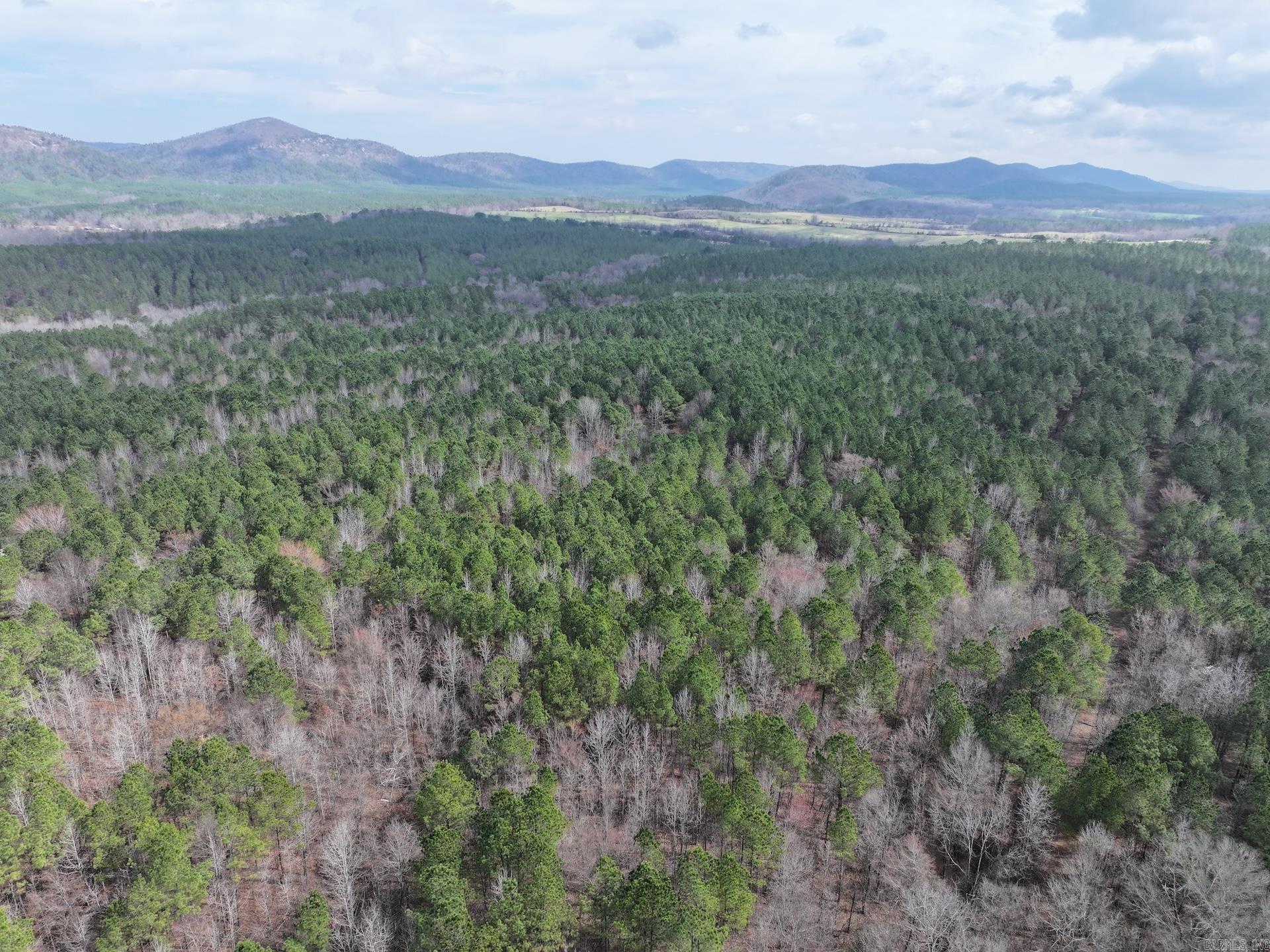 XXX J Dunson Tract 1 Langley, AR