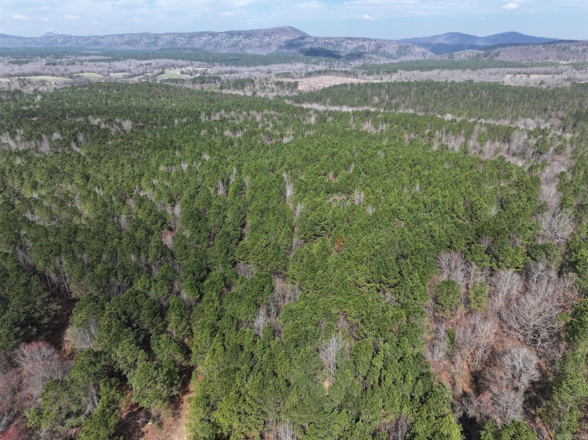 XXX J Dunson Tract 1 Langley, AR