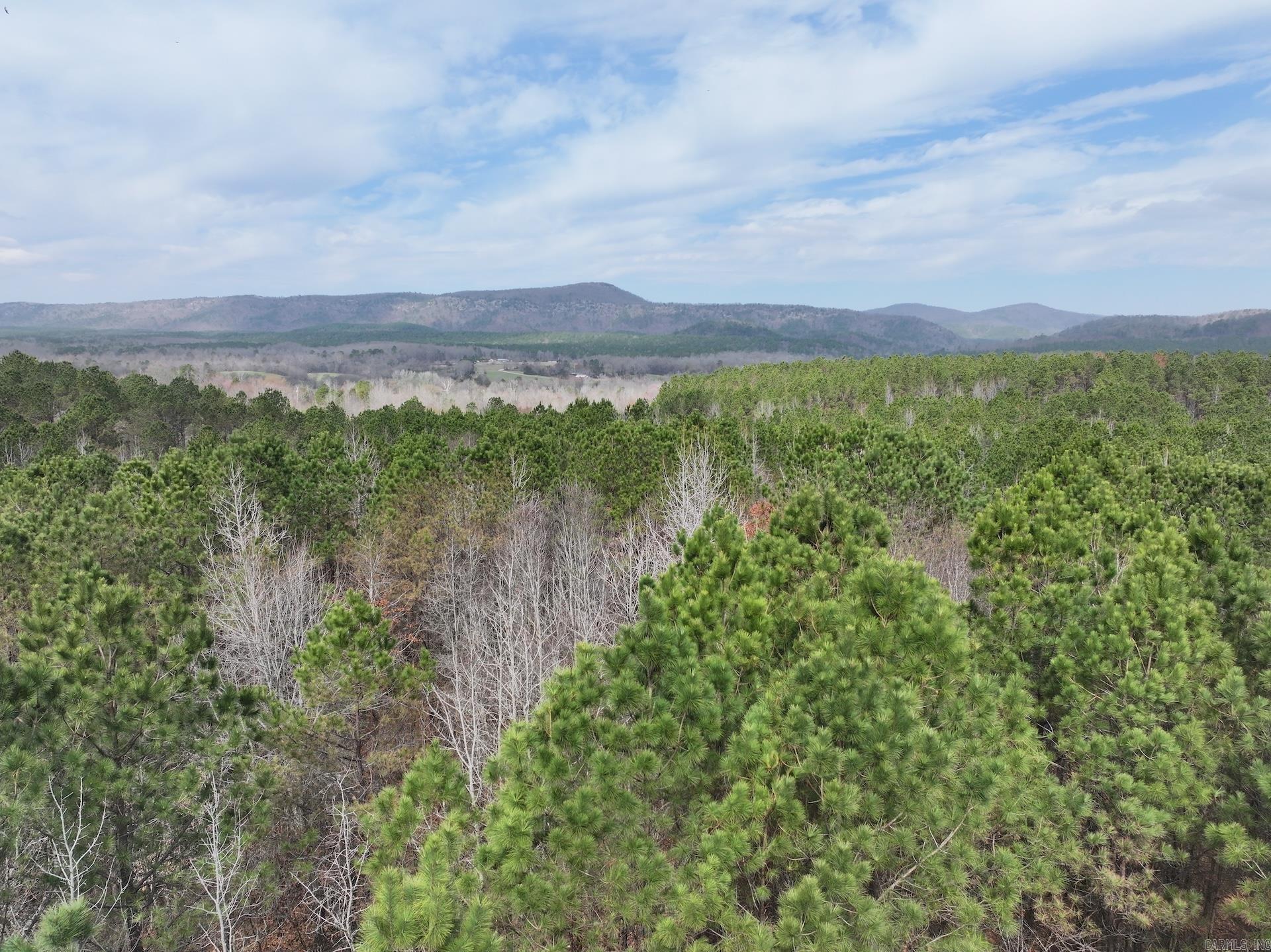 XXX J Dunson Tract 1 Langley, AR