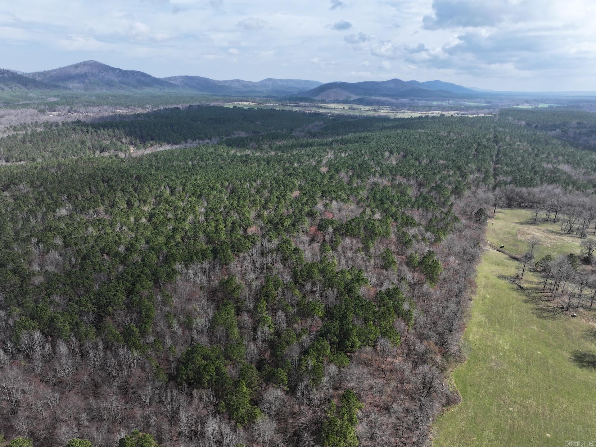 XXX J Dunson Tract 1 Langley, AR